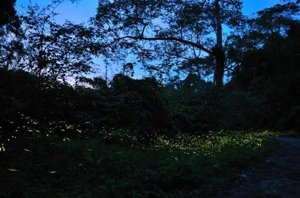 Off site in Upon The Hill