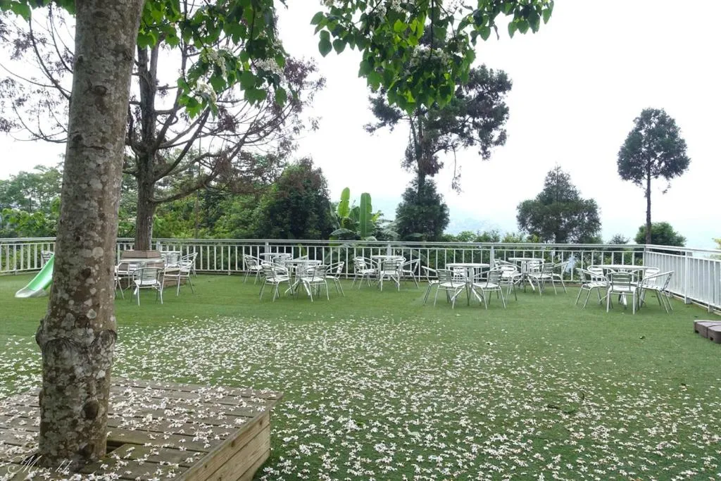 Natural landscape in Upon The Hill