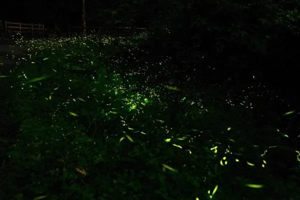 Off site in Upon The Hill