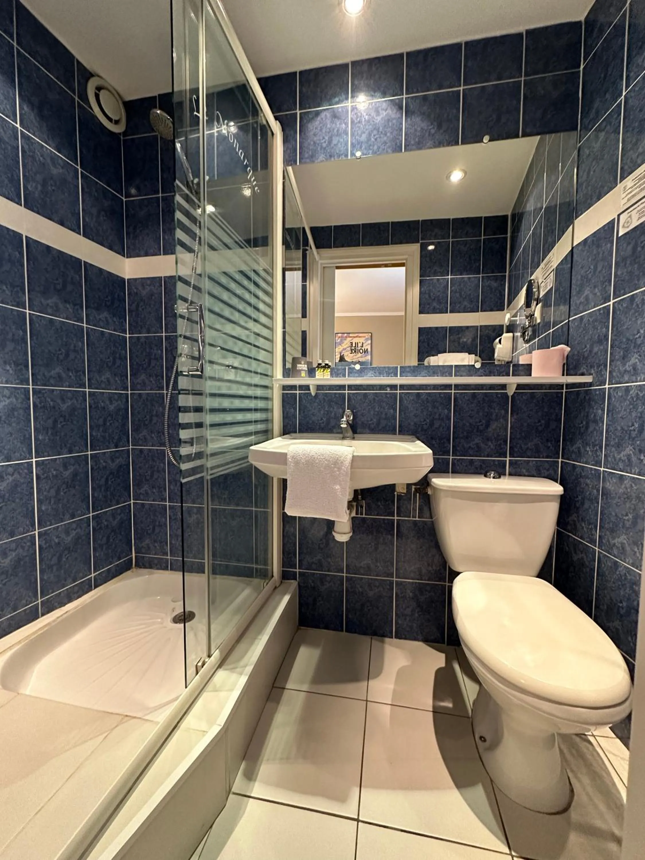 Bathroom in Logis Hôtel Restaurant LE MONARQUE