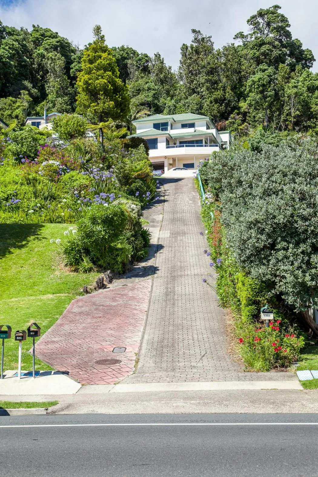 Street view in Ohope Heights