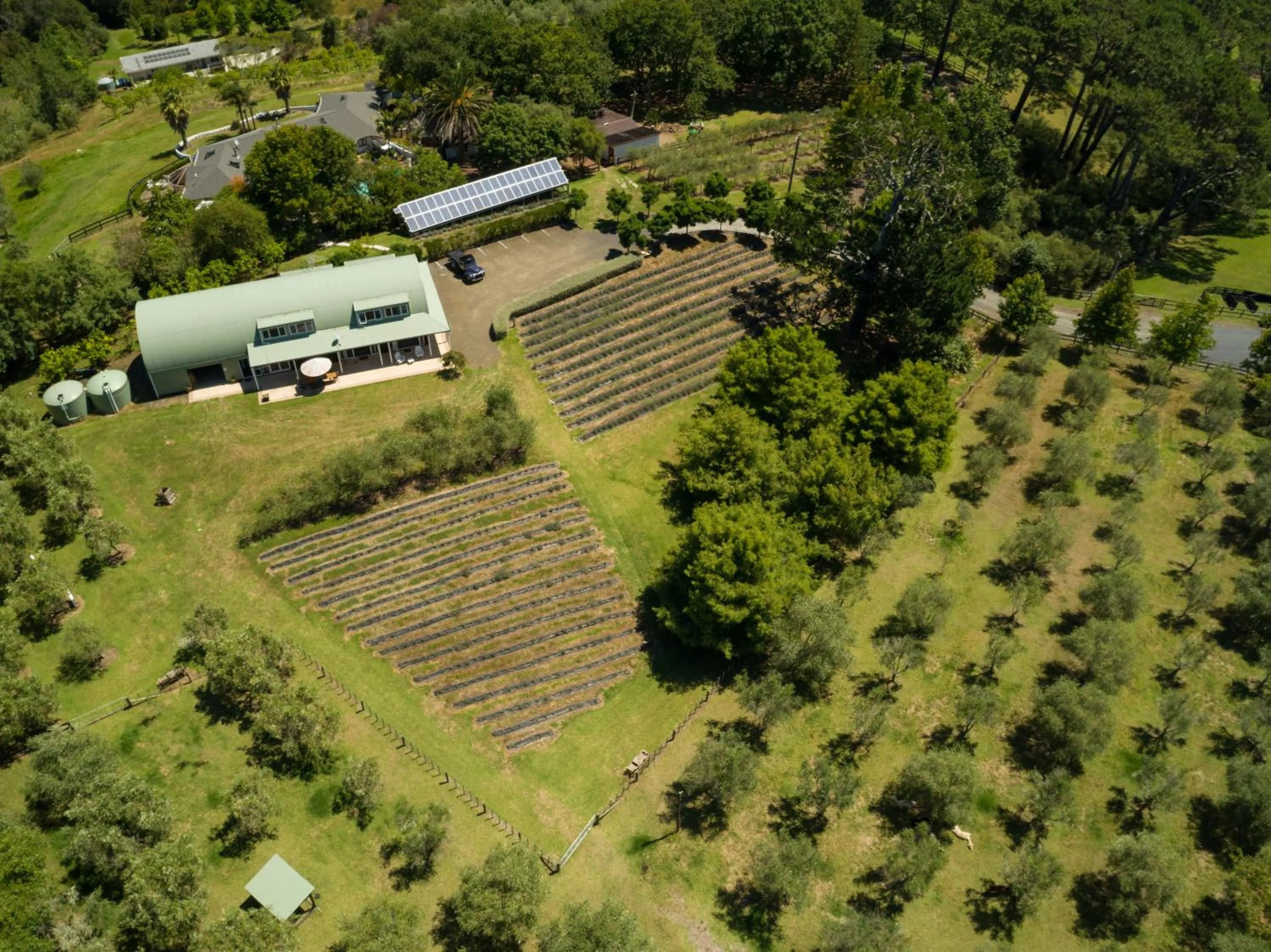 Bird's eye view in Lavender Hill