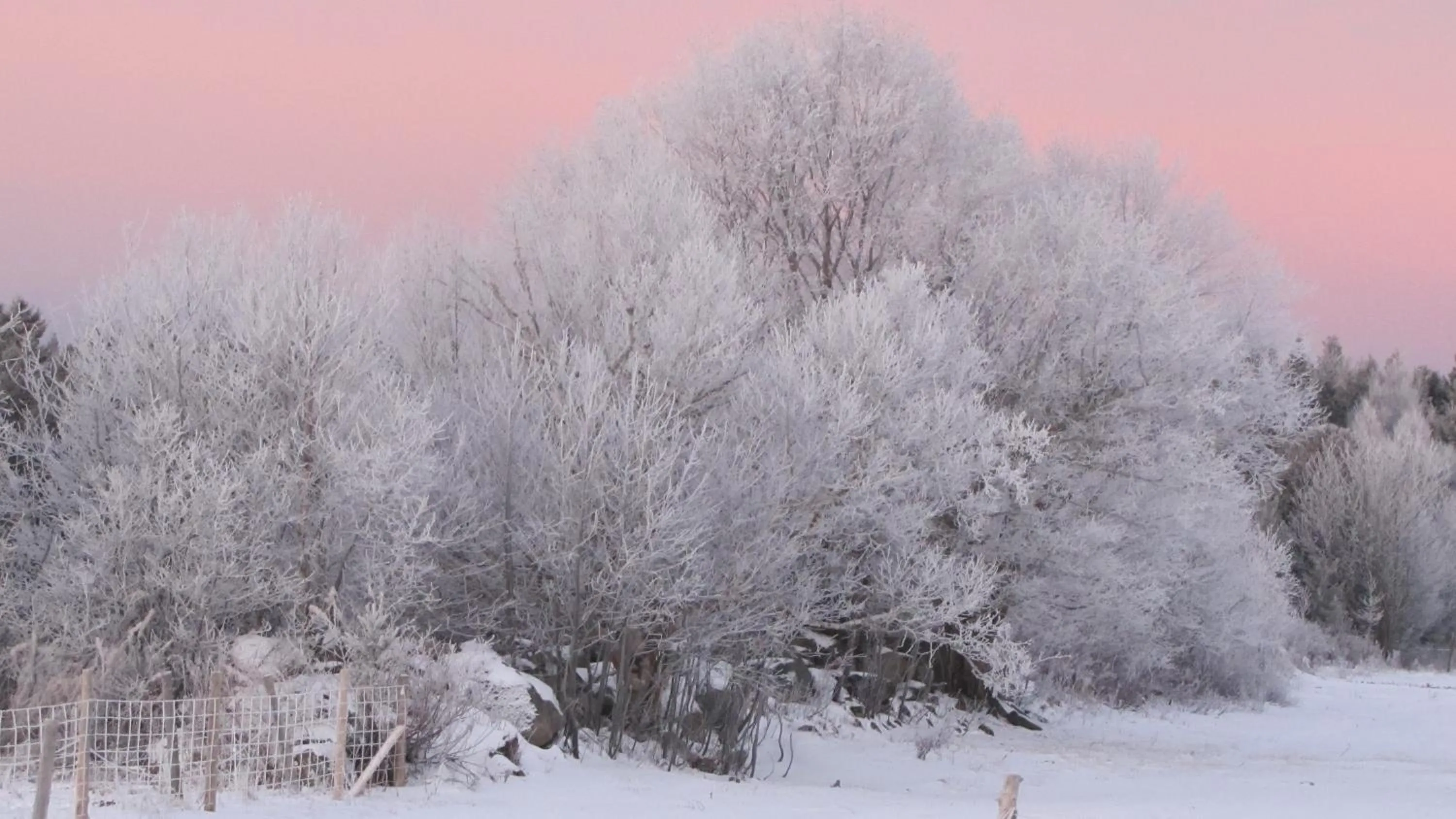 Natural landscape in Maison du Mont-Mégantic spa à l'année