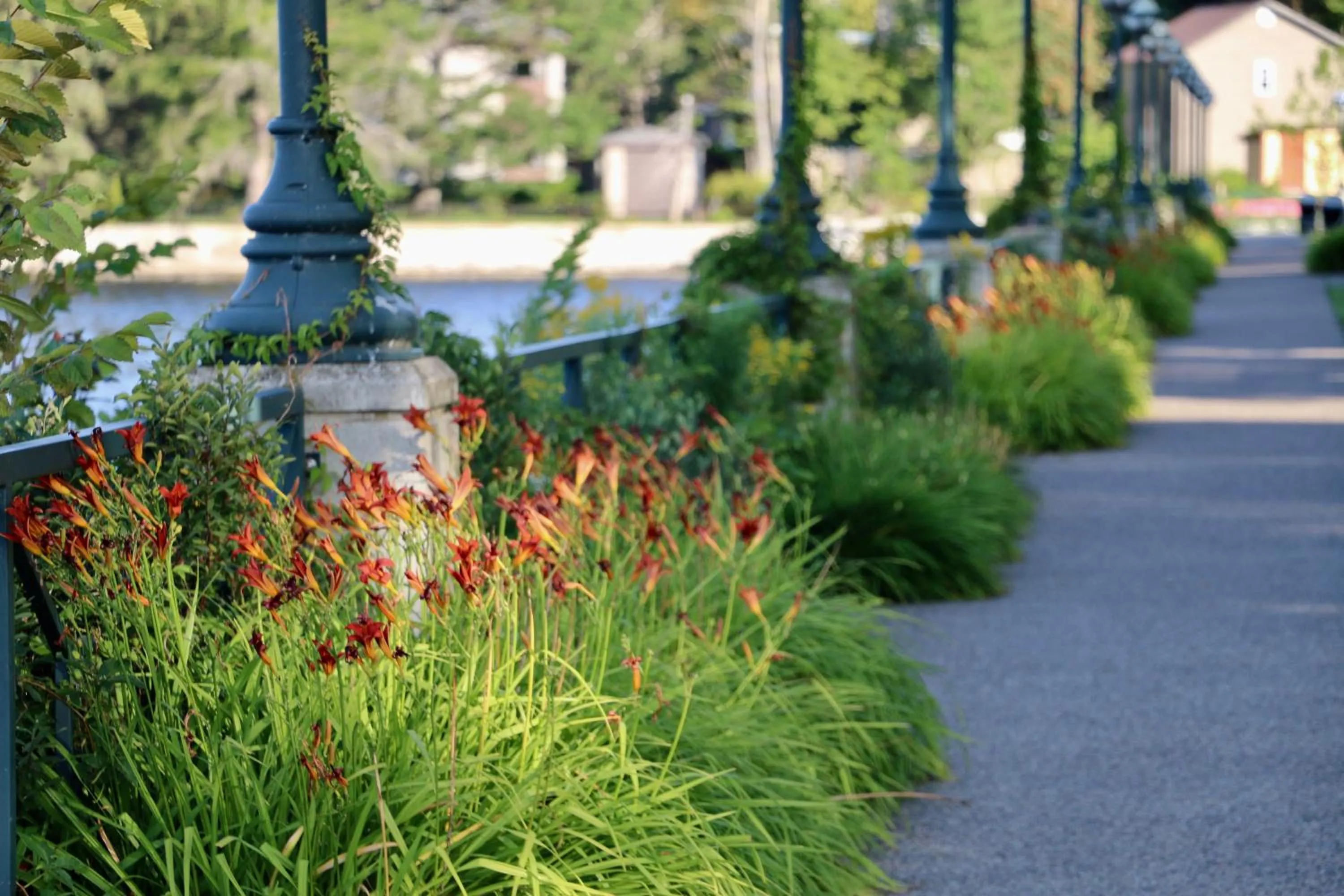 Activities in Maison du lac