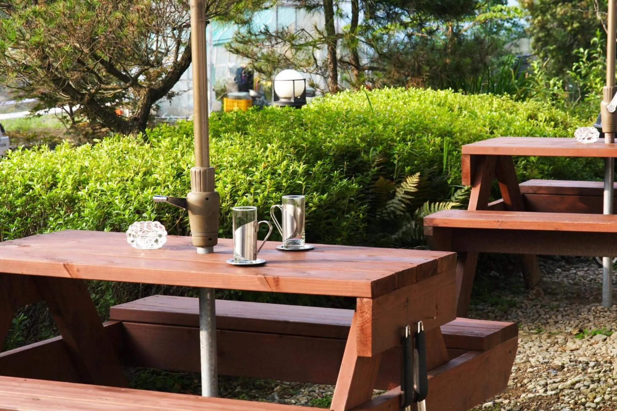 Summer in Starvill Pension