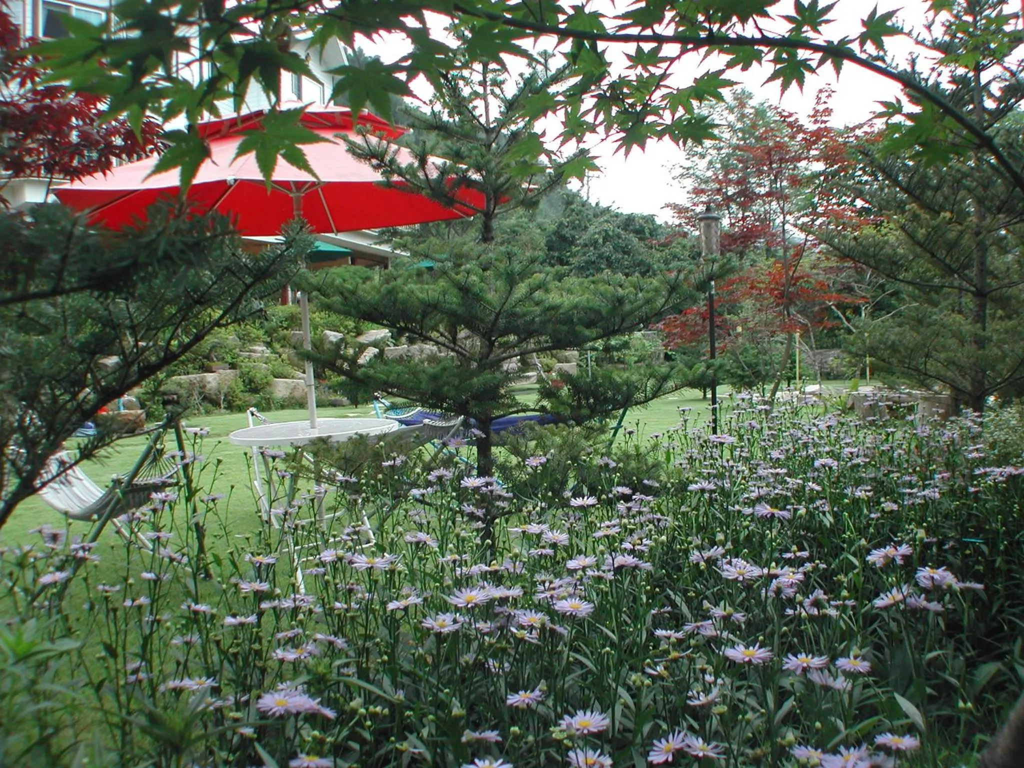 Neighbourhood in Starvill Pension