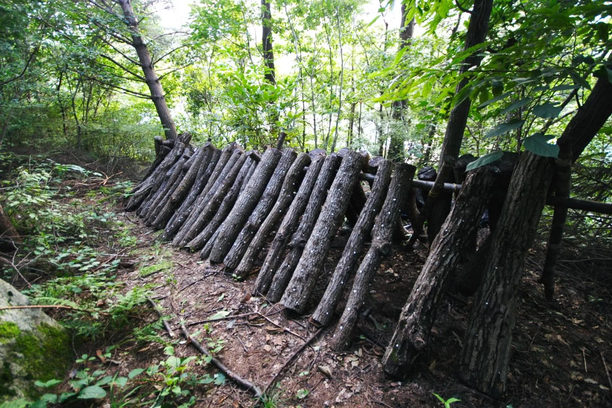 Neighbourhood in Starvill Pension