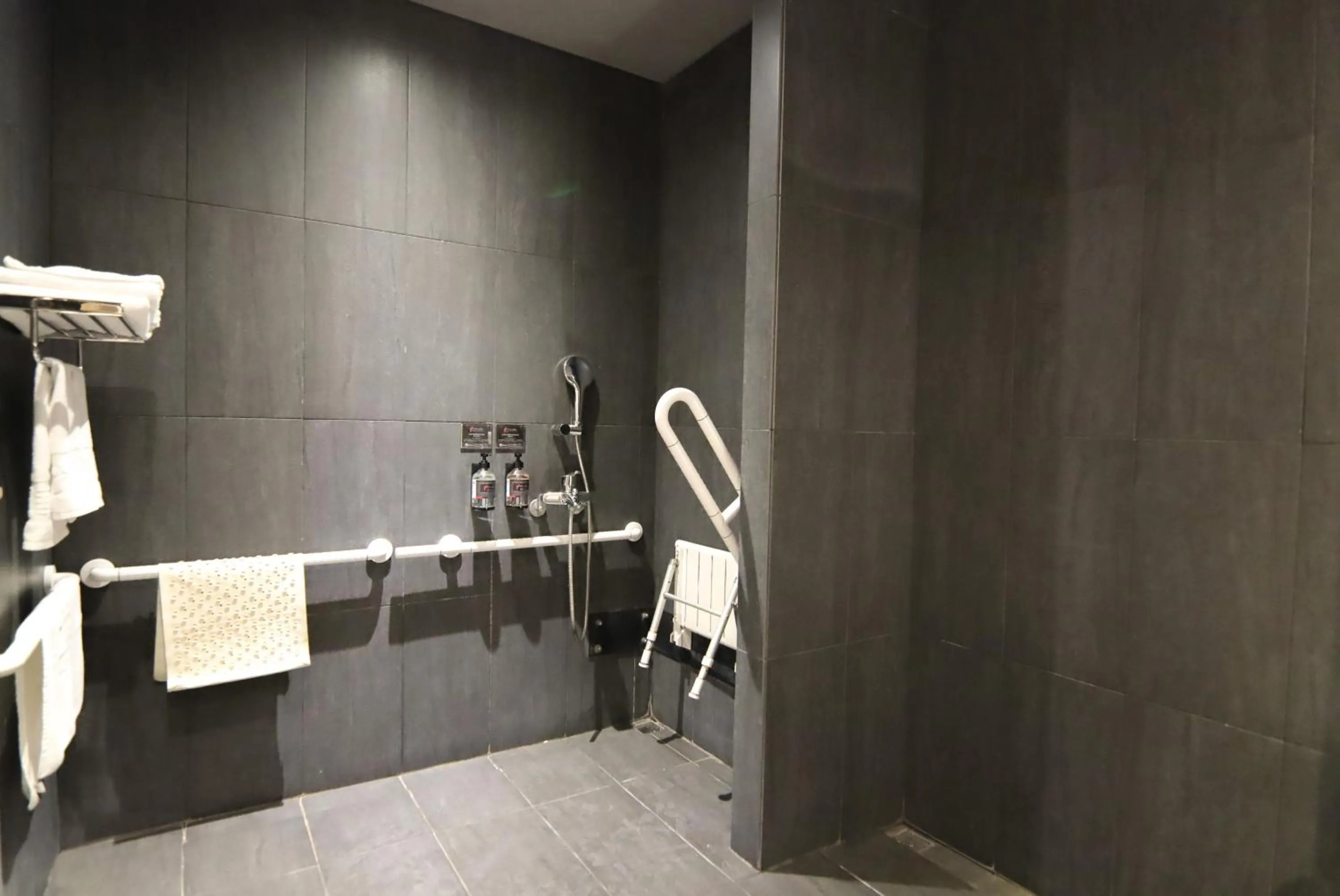 Facility for disabled guests in Orient Luxury Hotel