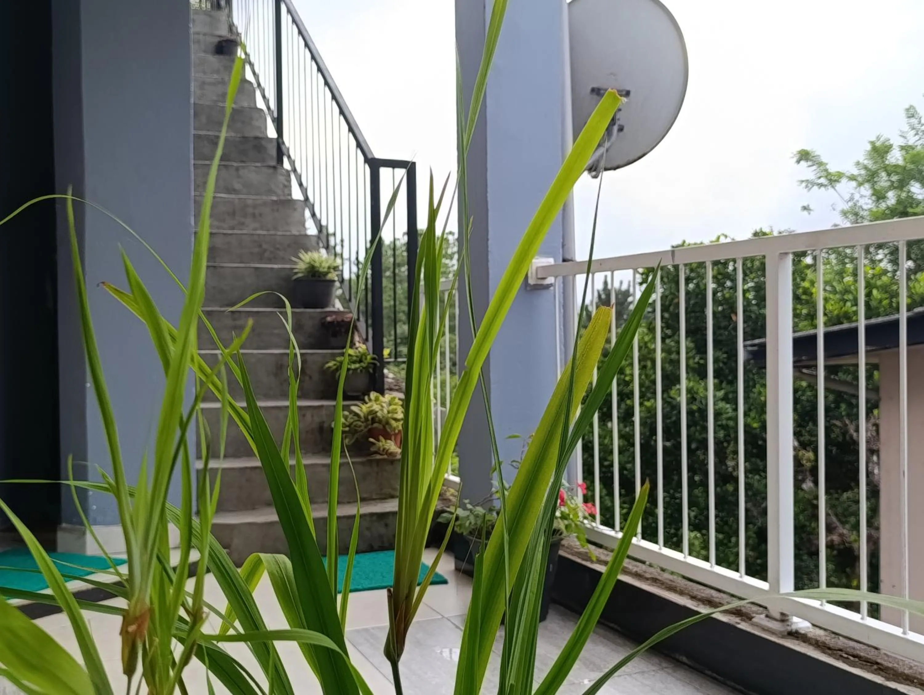 Villa Forest View - No: 50/17