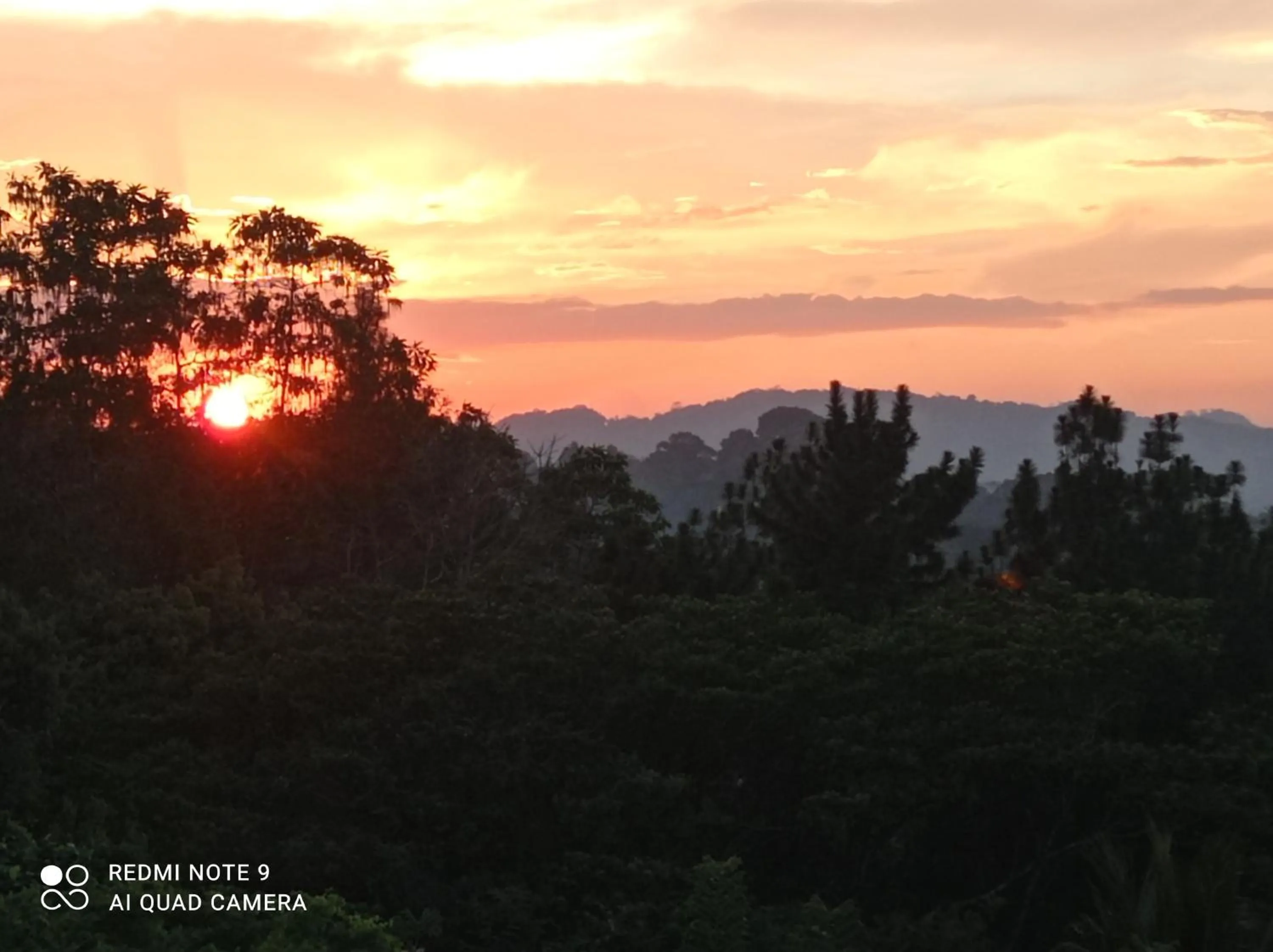 Natural landscape in Villa Forest View - No: 50/17