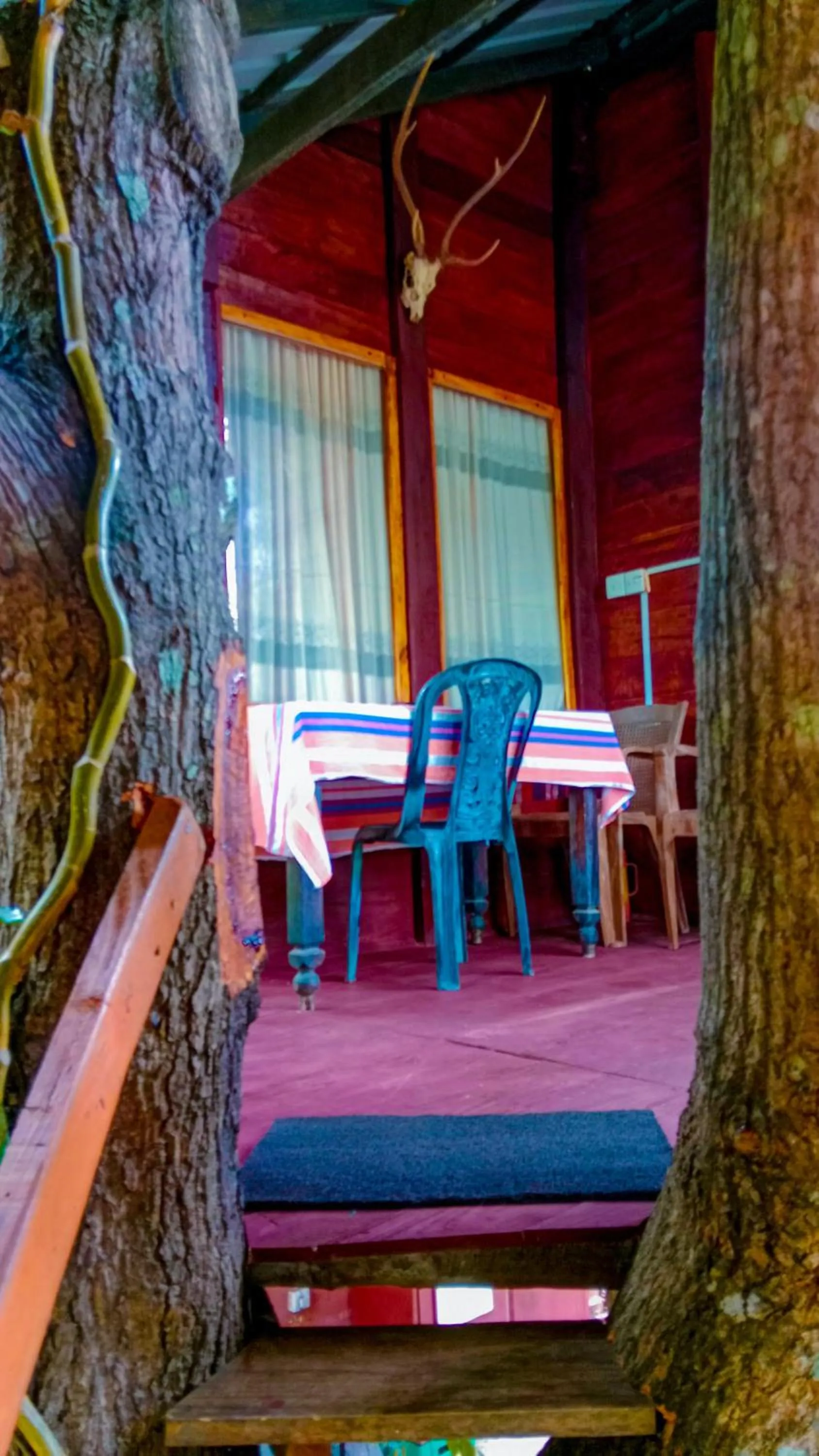 Bed in Sigiri Sky Home & TreeHouse