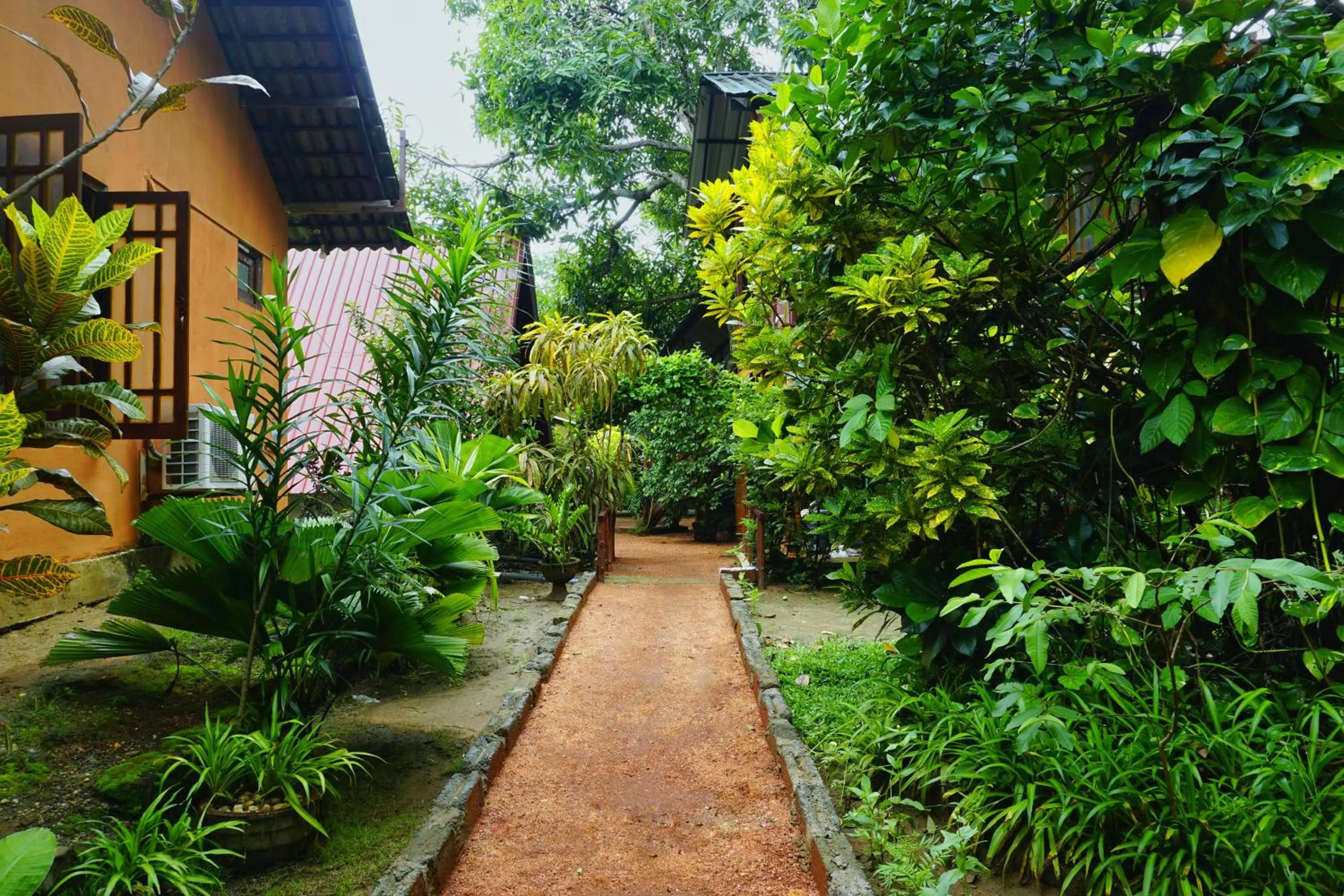 Spring in Sigiri Sky Home & TreeHouse