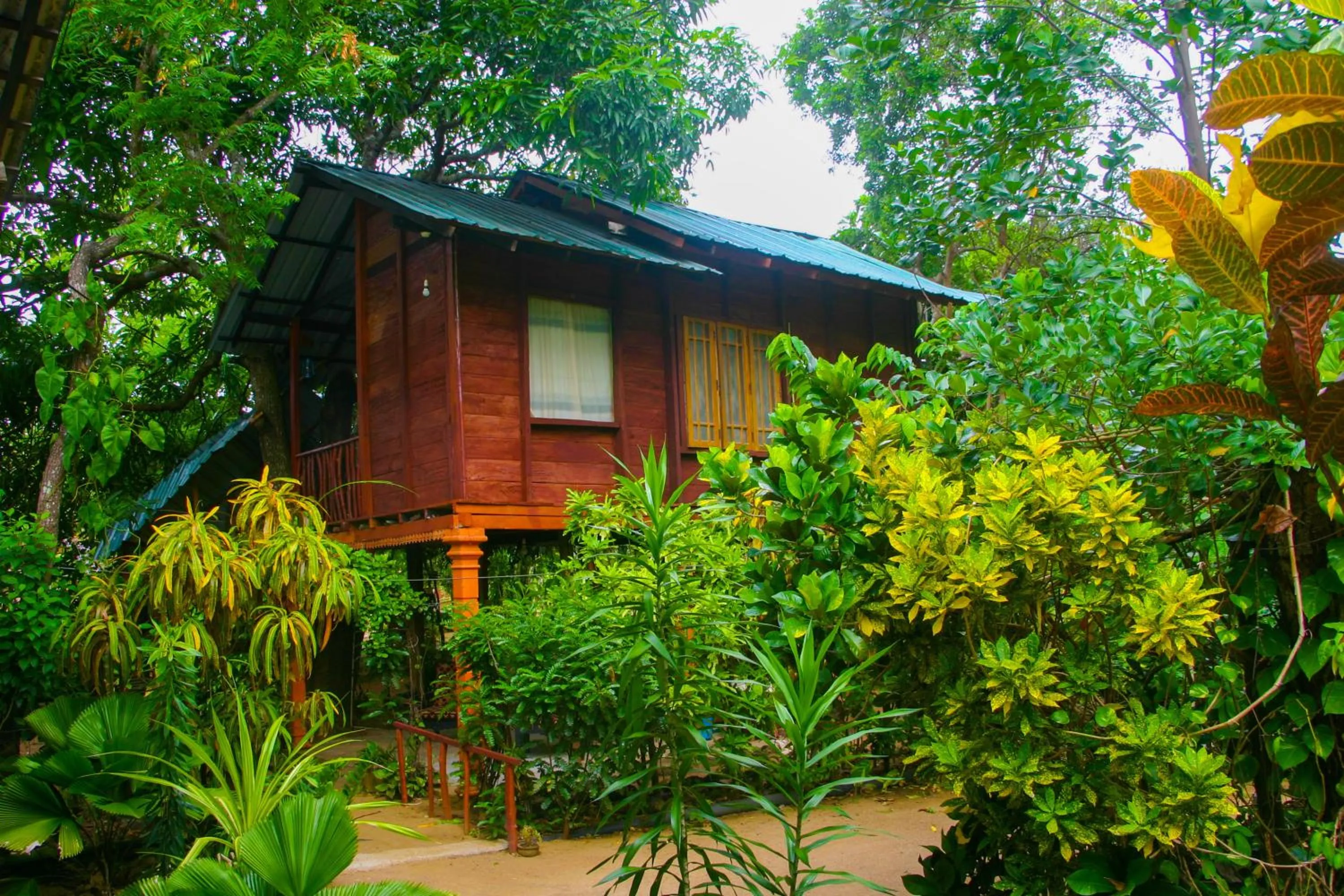 Property building in Sigiri Sky Home & TreeHouse