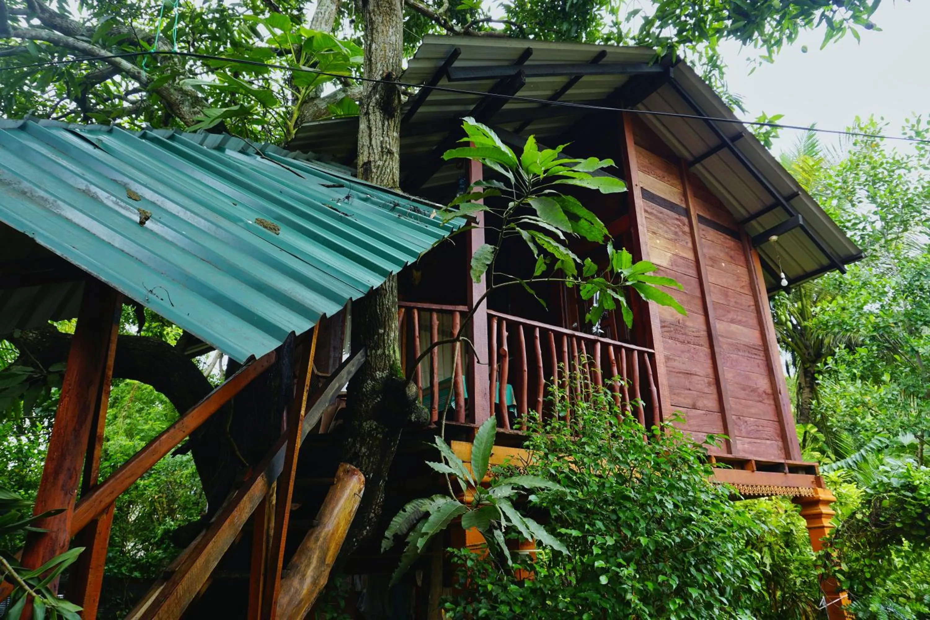 Property building in Sigiri Sky Home & TreeHouse