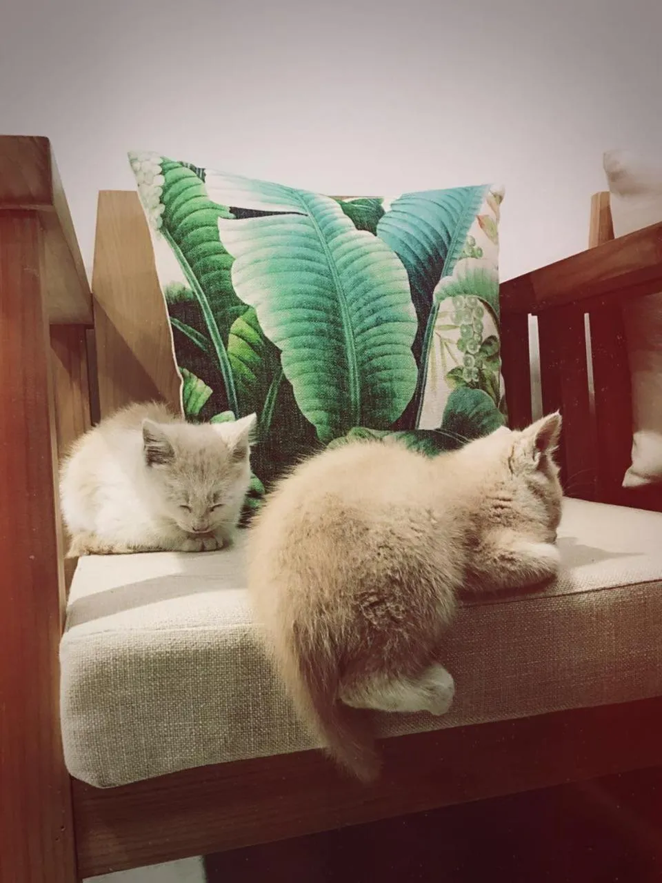 Property building in Zhangjiajie Zhijue Art Hotel