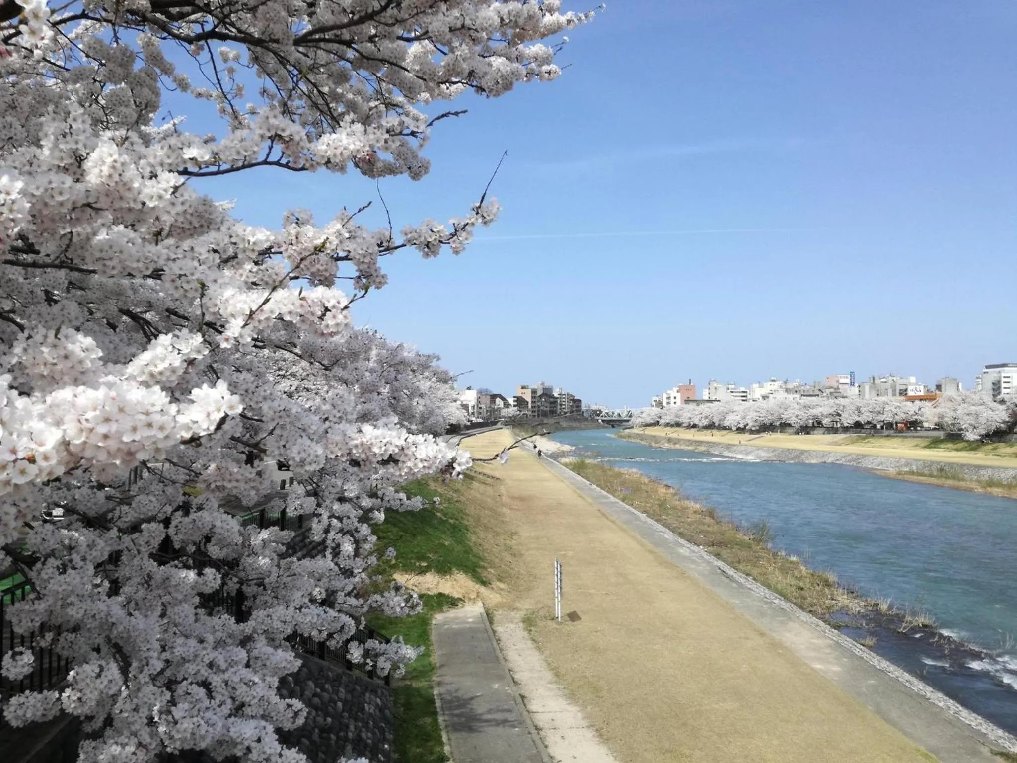 Spring in K's House Kanazawa - Travelers Hostel