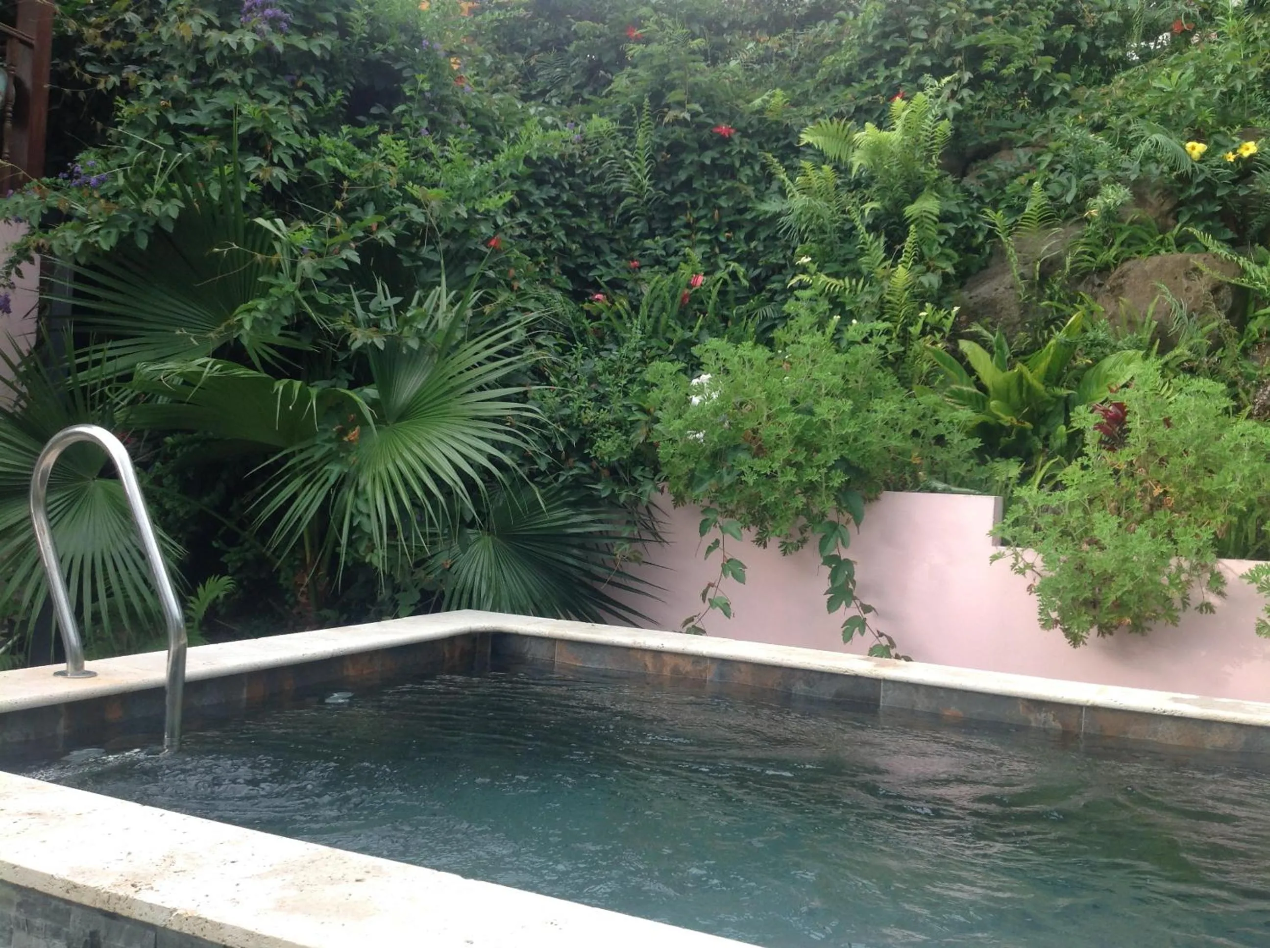 Chez Dolores