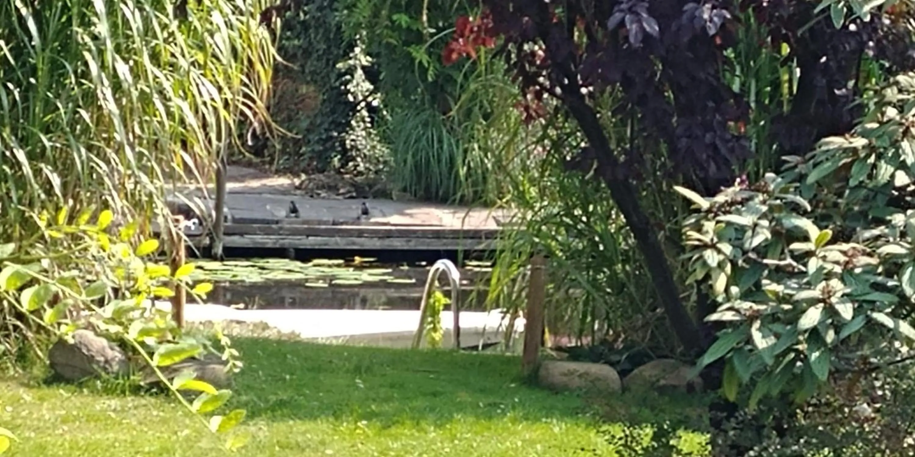 Pension an der Elsterbrücke