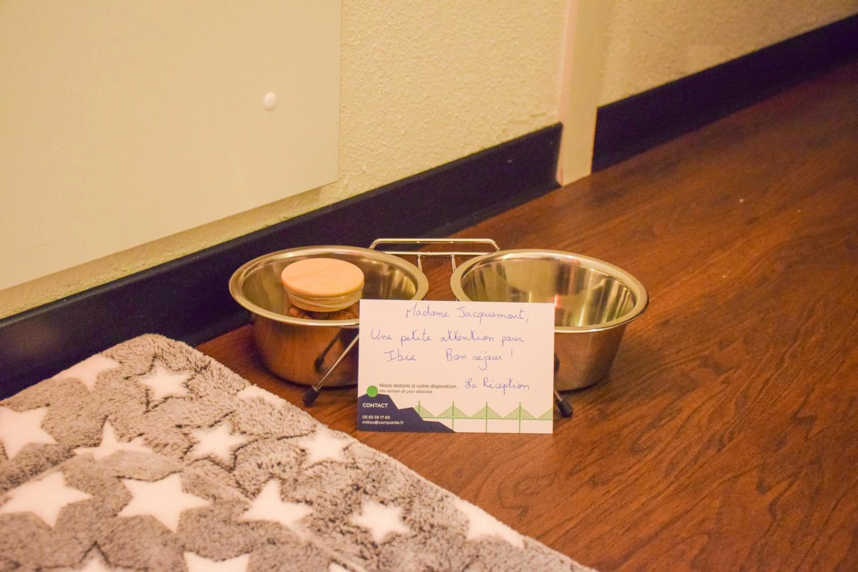 Pets in Campanile Millau