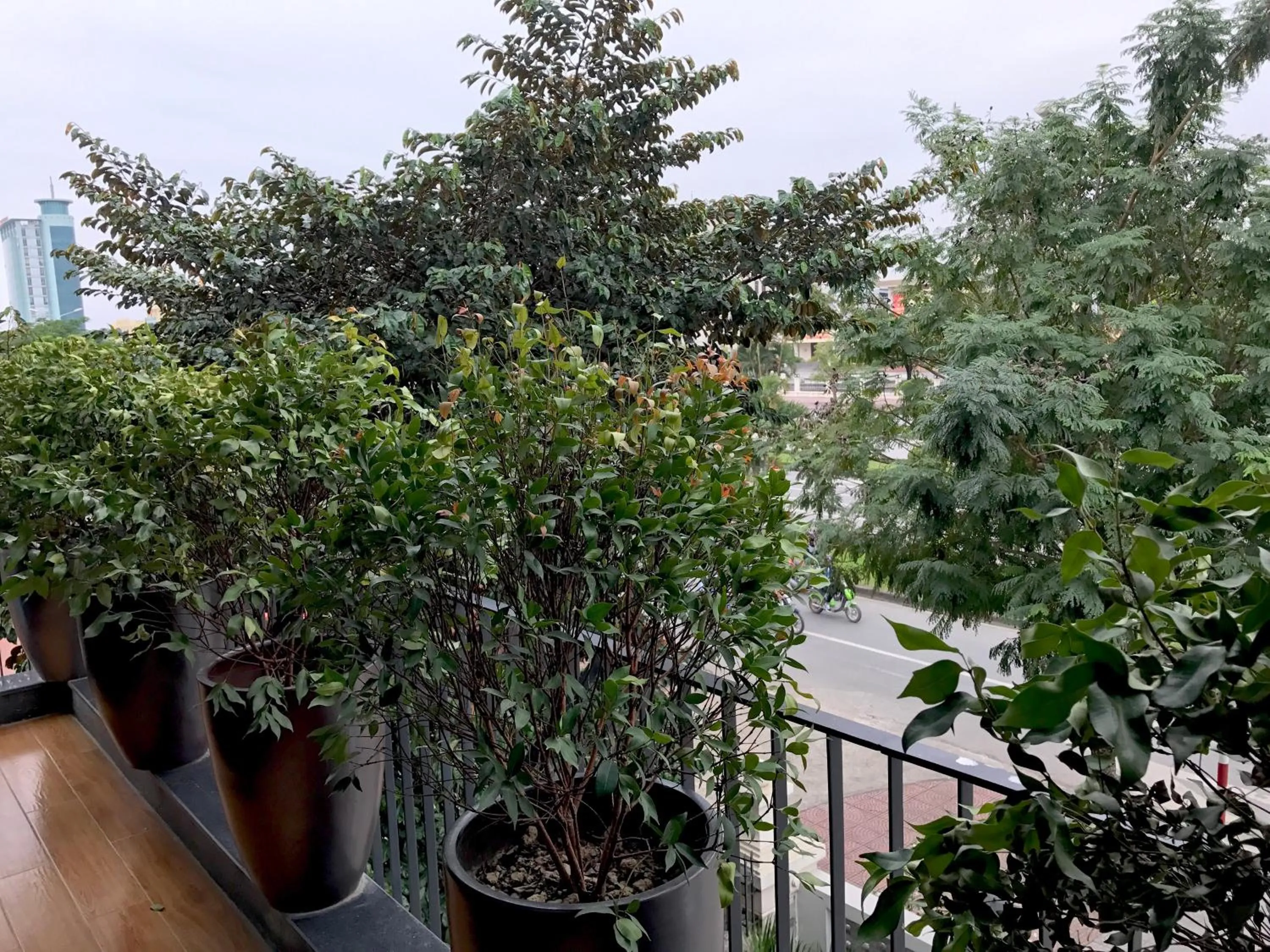 View (from property/room) in F & F Hotel