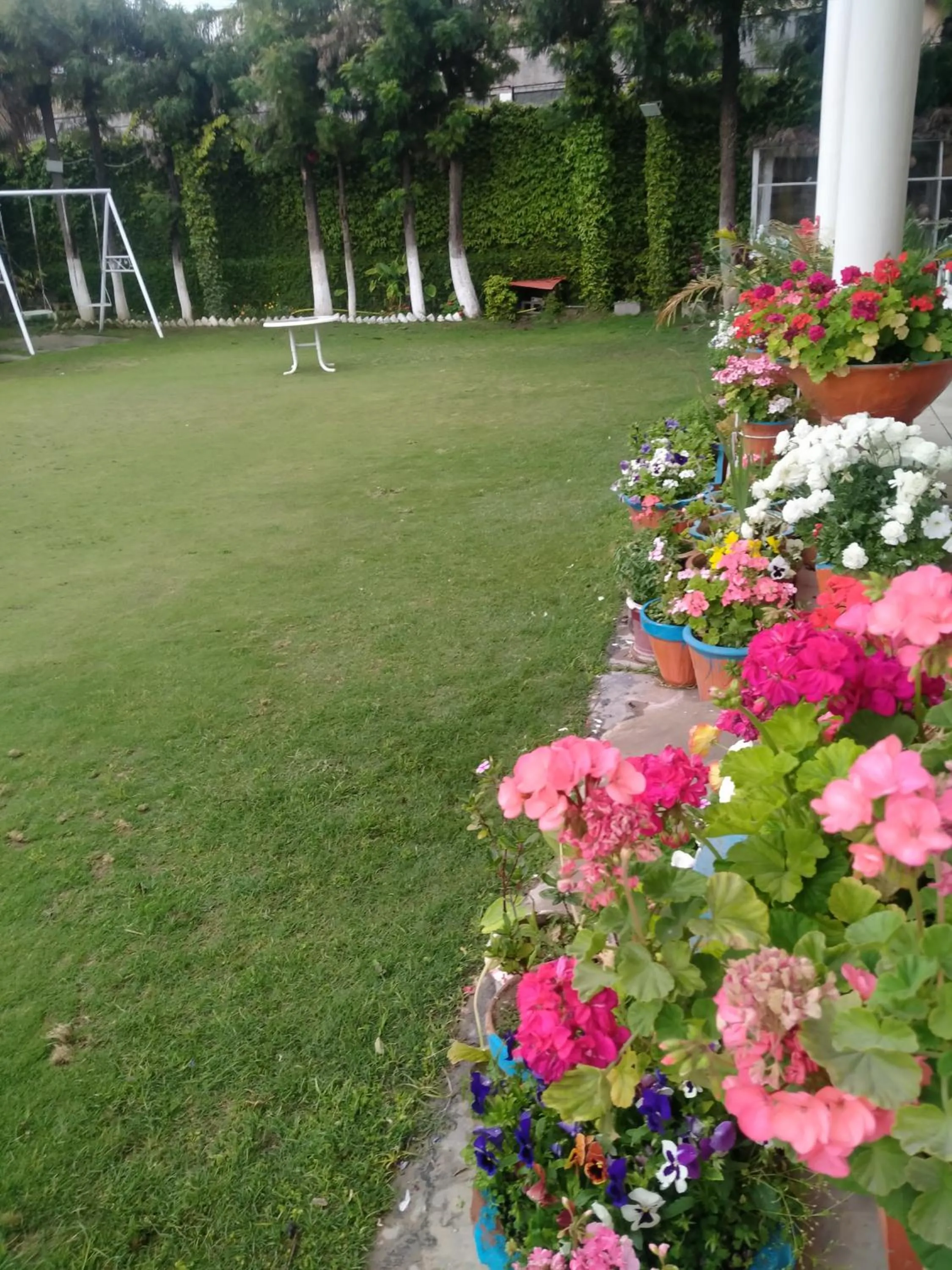 Garden view in Alaf Laila Guest House