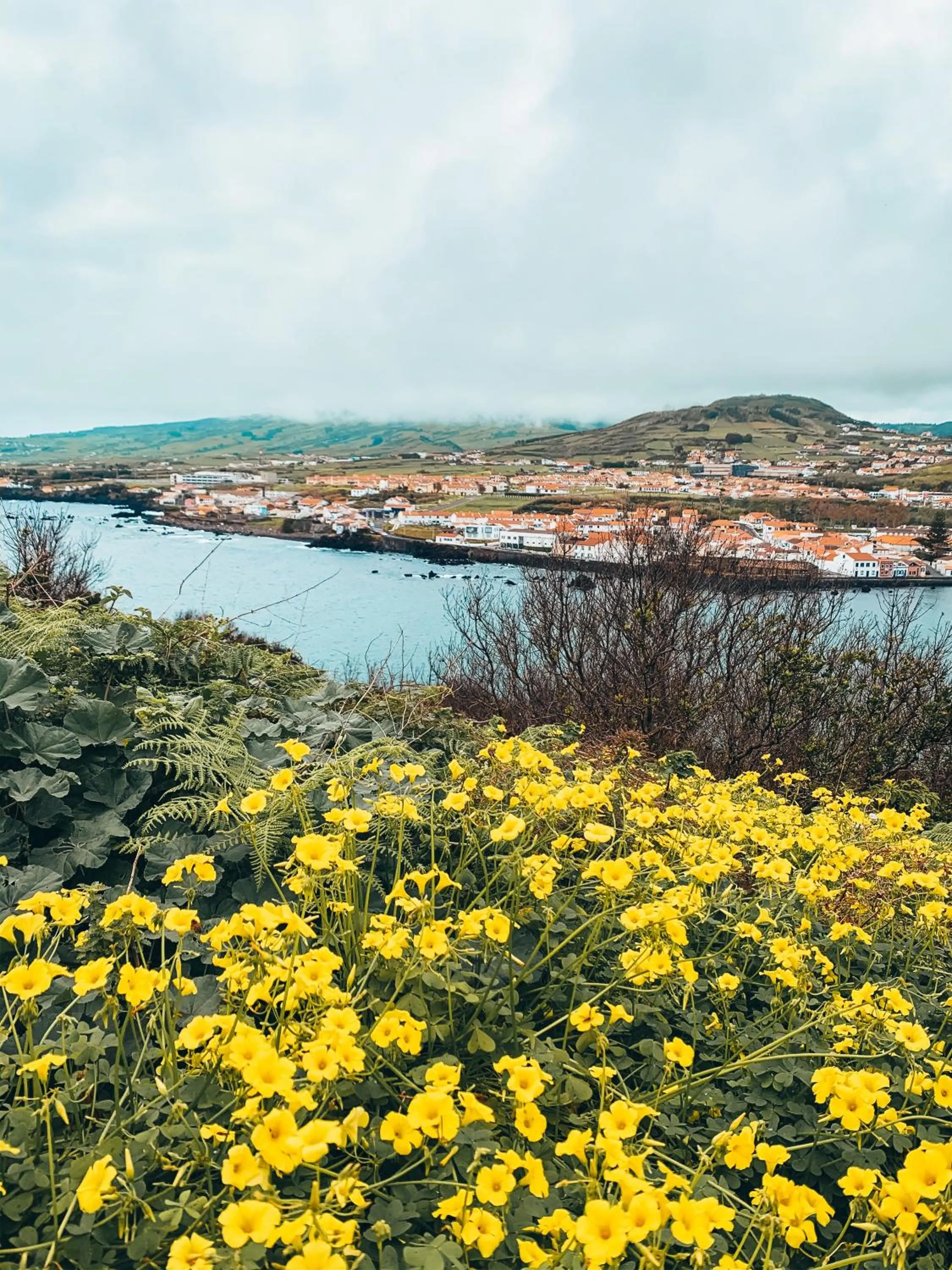 Natural landscape in Porto Pim Bay