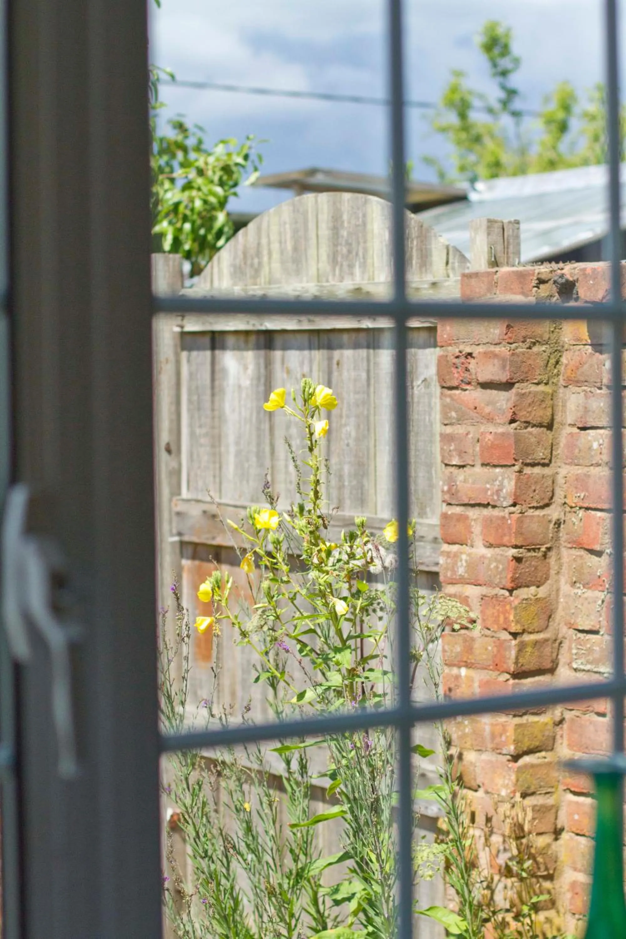 Garden view in Magpies Lodge
