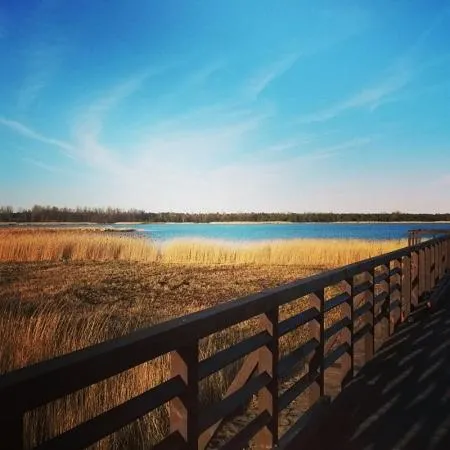 Neighbourhood in Willa Czaruś