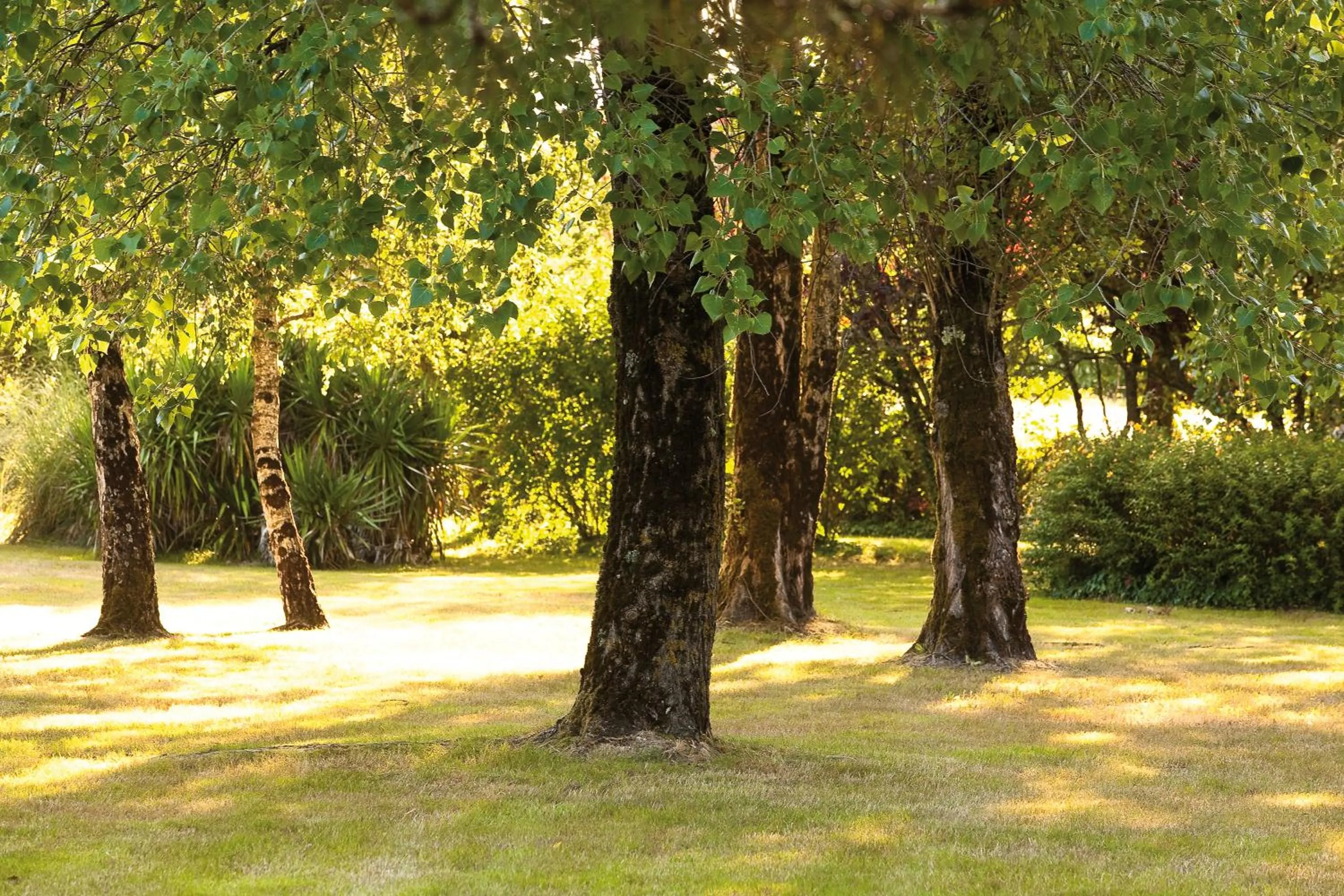 Garden in Kyriad Nantes Sud - Bouaye Aéroport