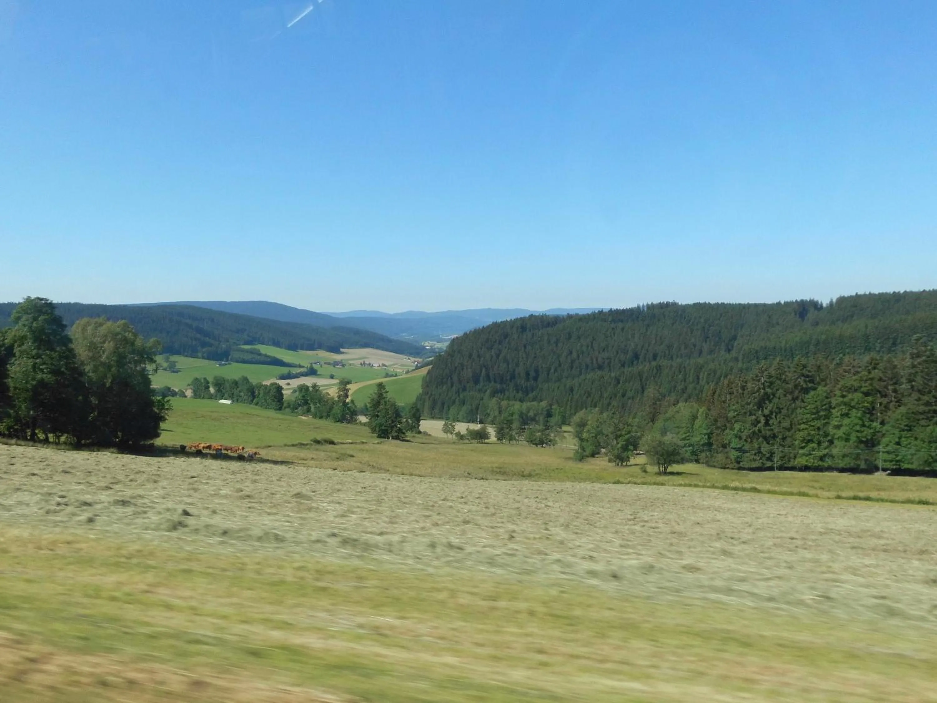 Neighbourhood in Schwarzwaldgasthaus Salenhof