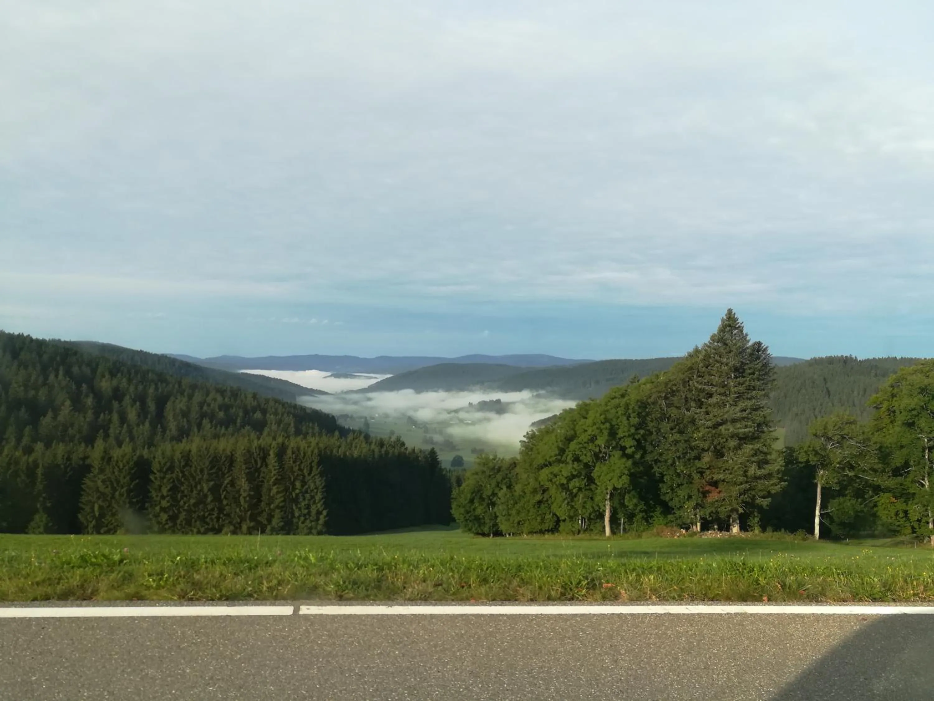Natural landscape in Schwarzwaldgasthaus Salenhof