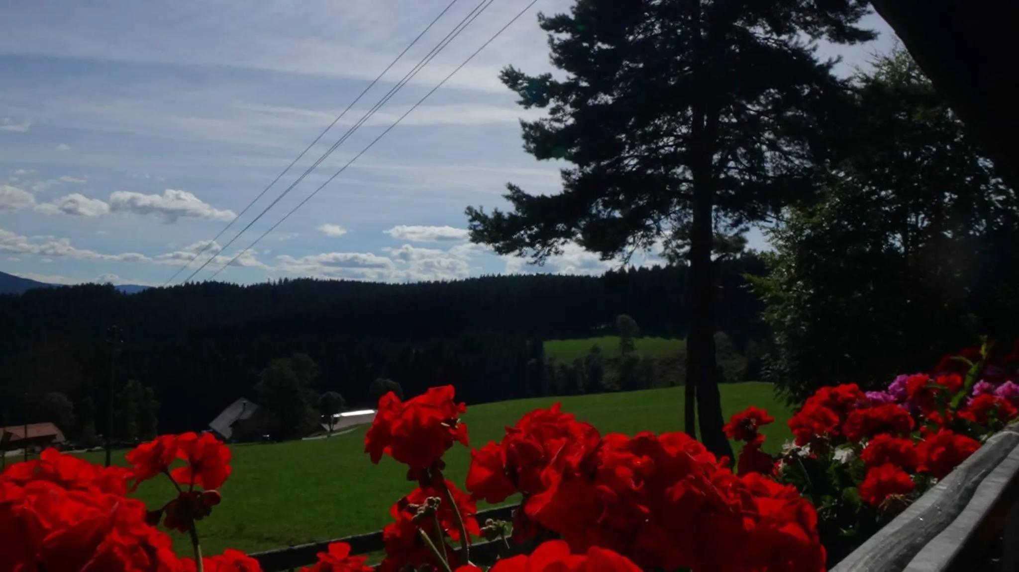 Balcony/Terrace in Schwarzwaldgasthaus Salenhof