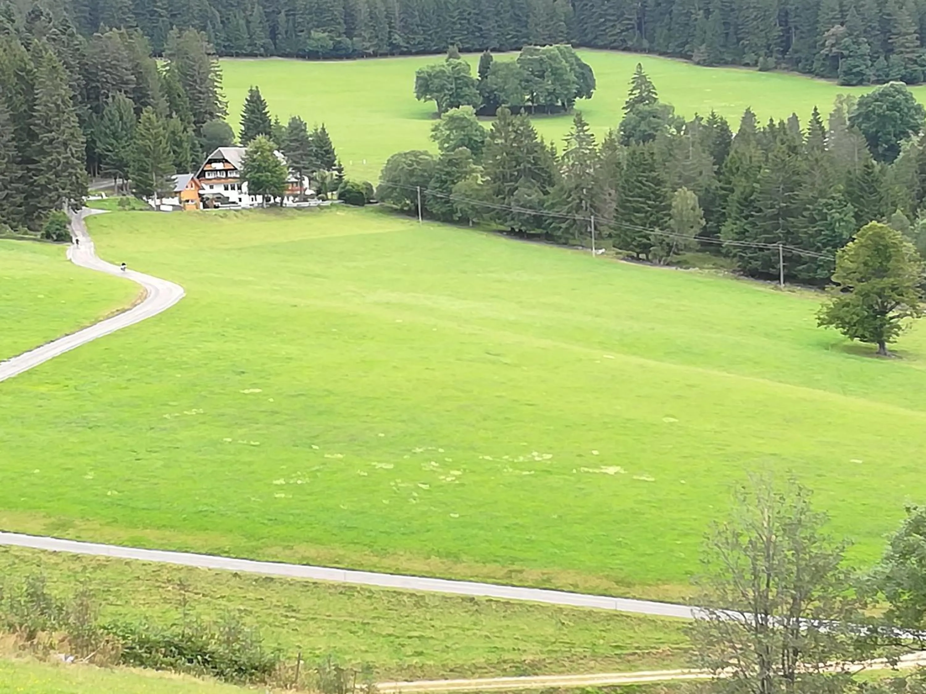 Bird's eye view in Schwarzwaldgasthaus Salenhof