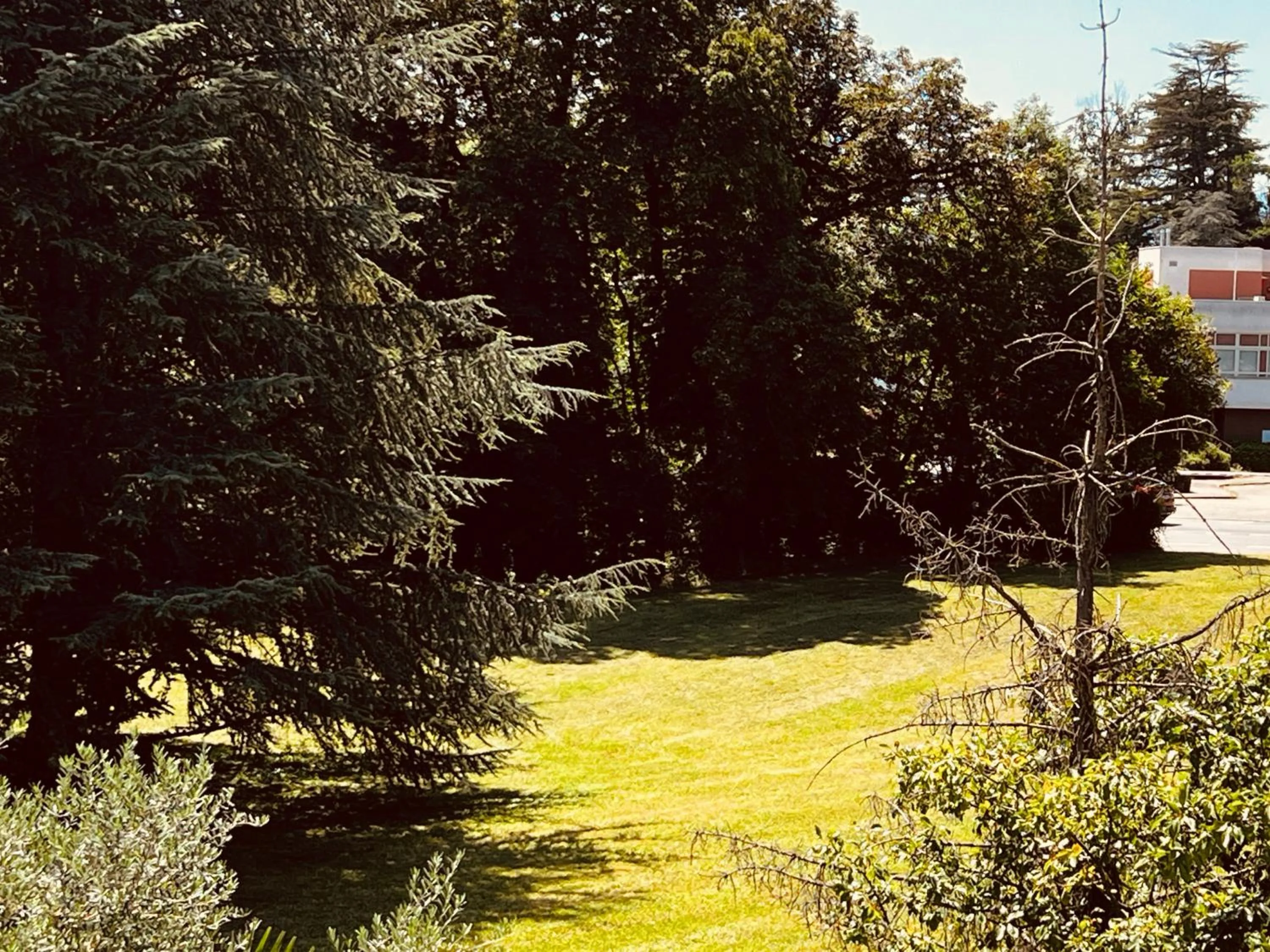 Garden in Campanile Lyon Nord - Ecully
