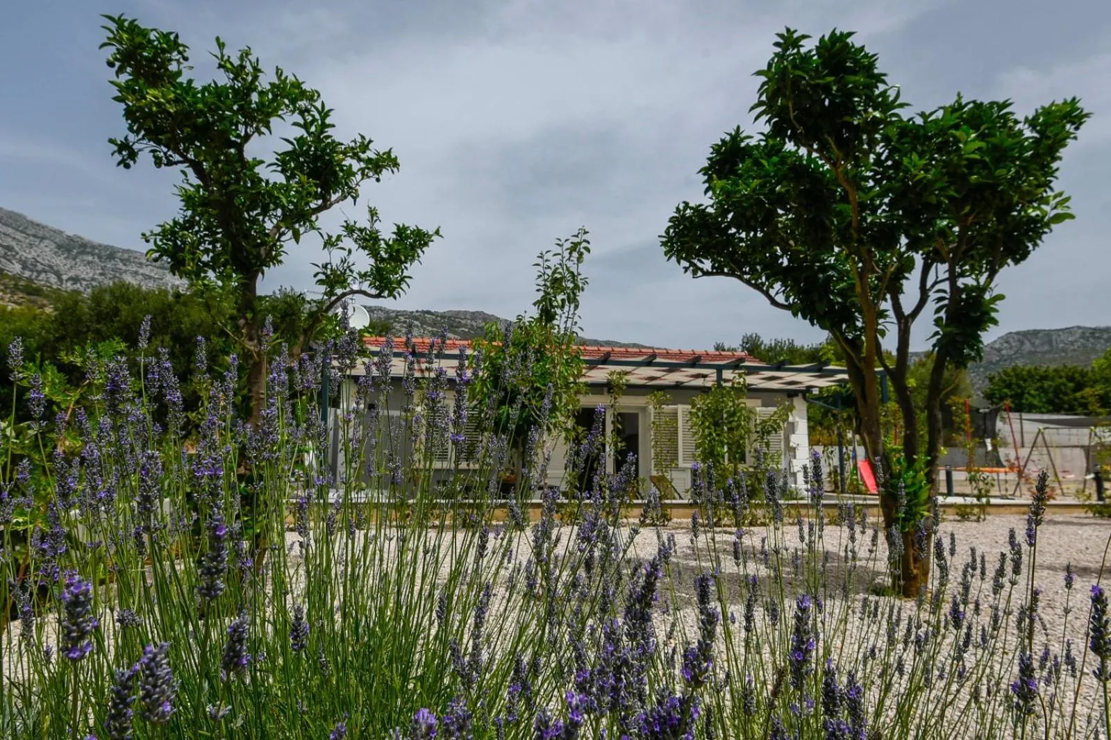 Spring in Villa Marina
