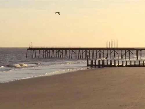 Beach in Moray Beachside Apartments
