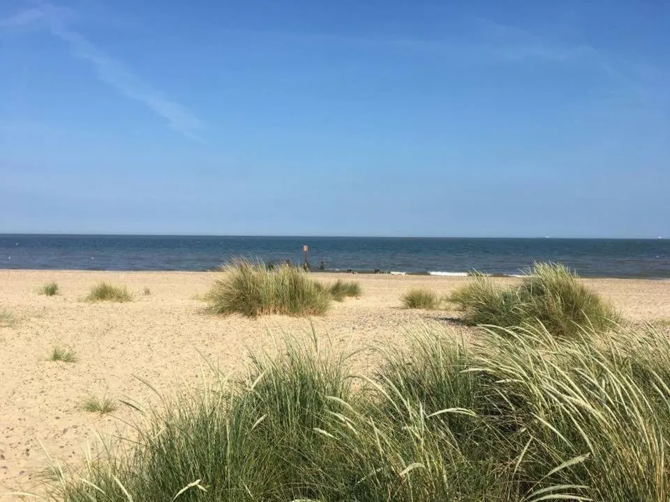 Beach in Moray Beachside Apartments