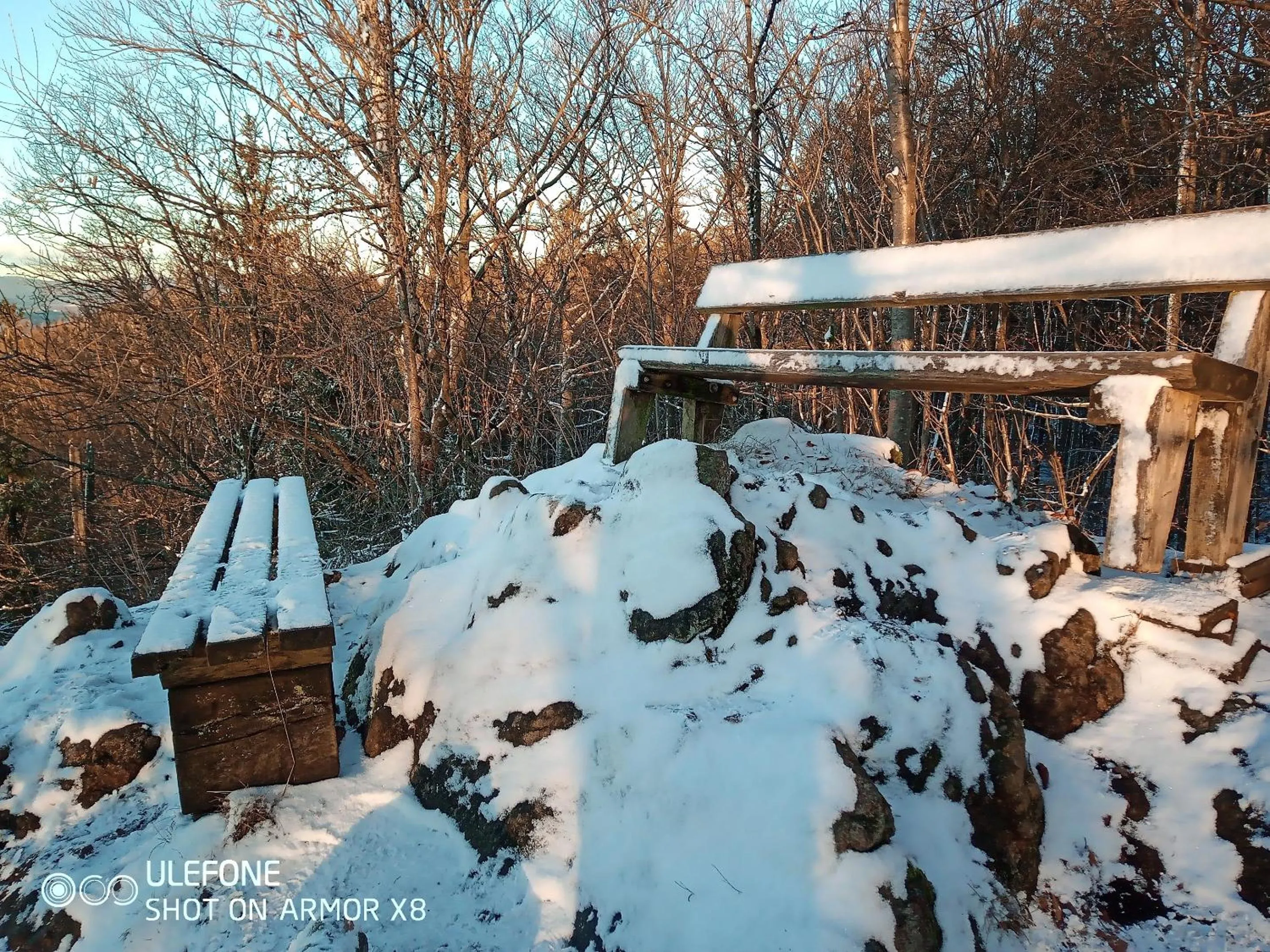Natural landscape in Landhotel Großeiberhof