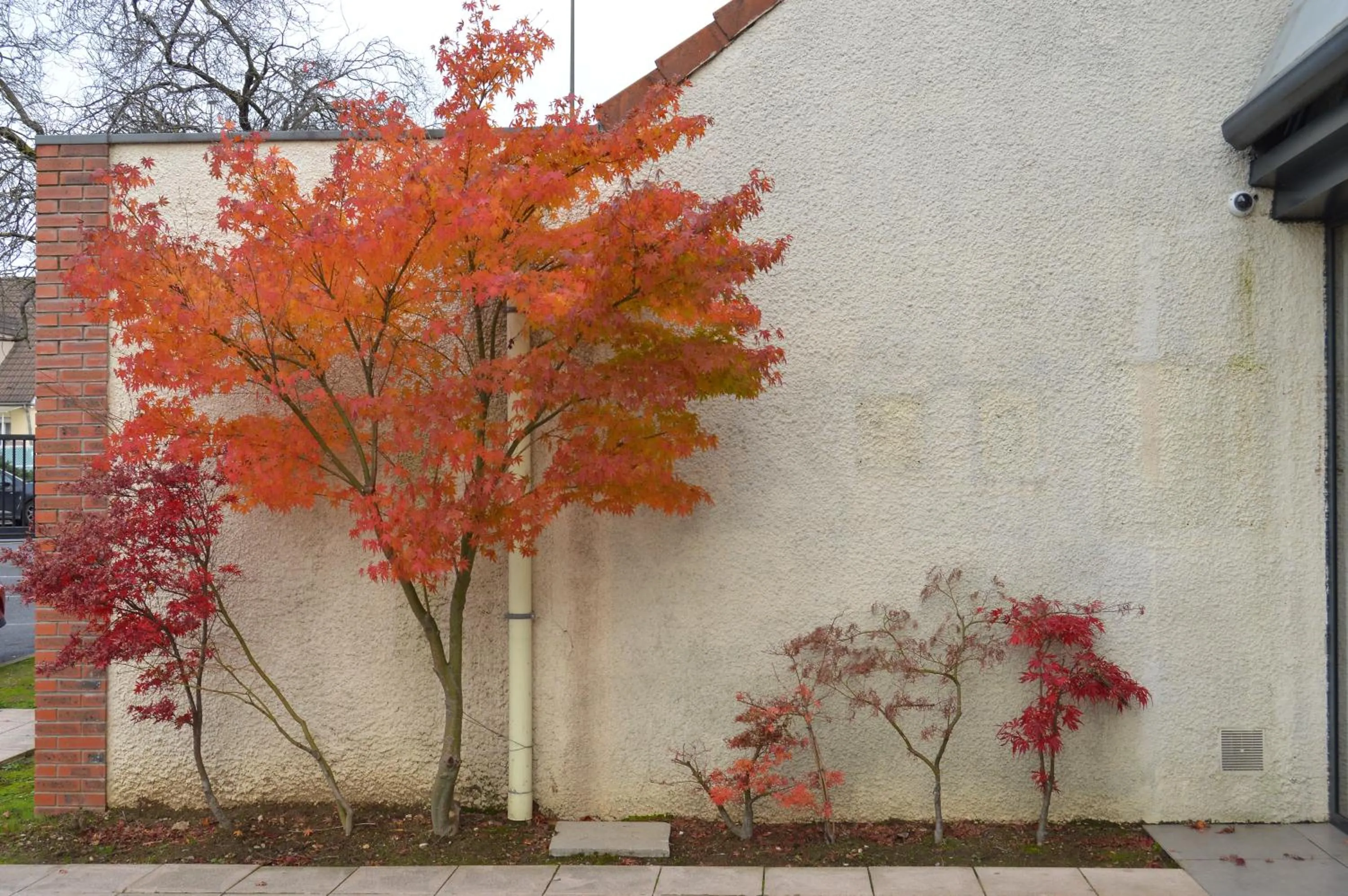 Facade/entrance in Kyriad Argenteuil