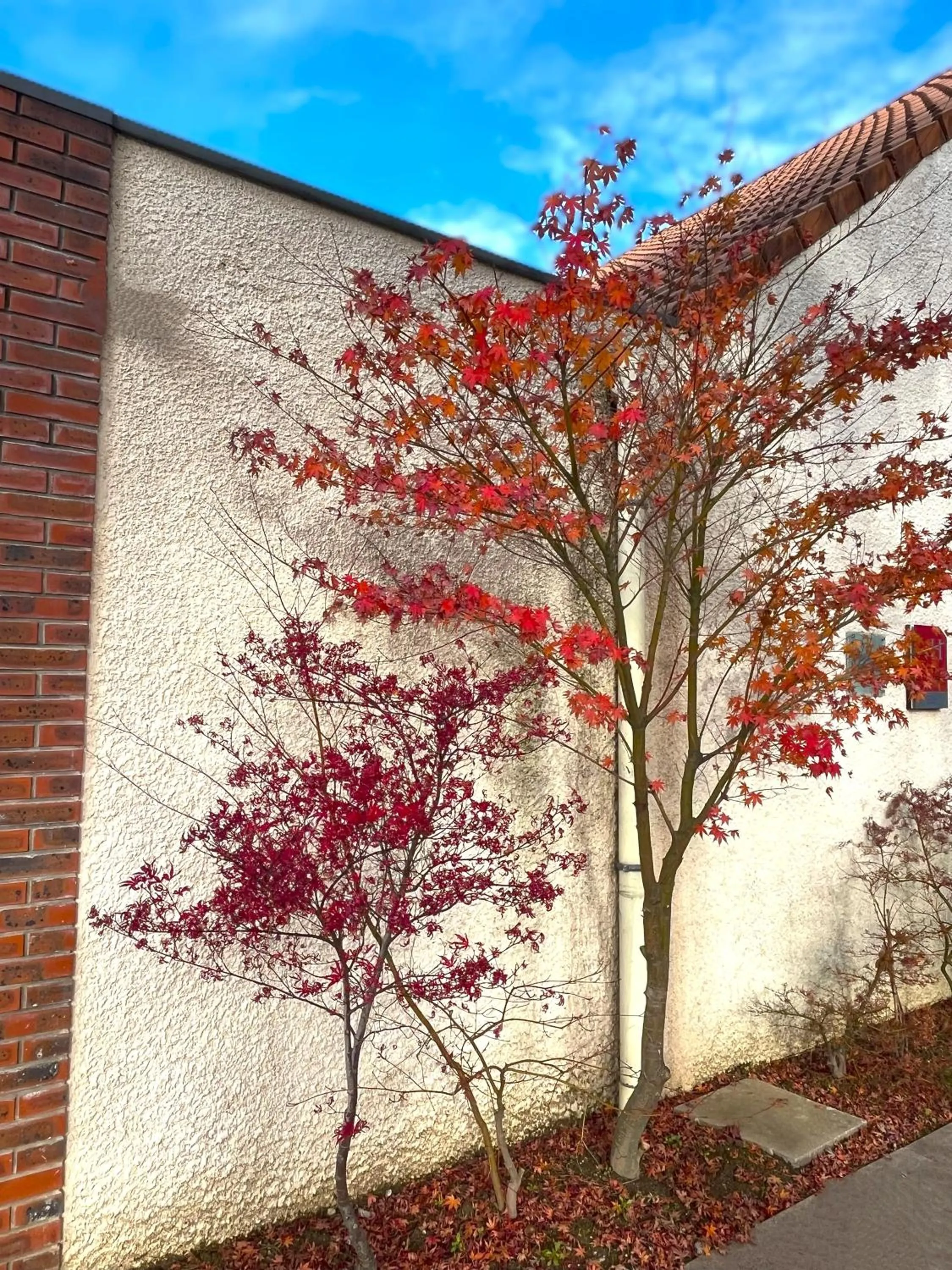 Property building in Kyriad Argenteuil