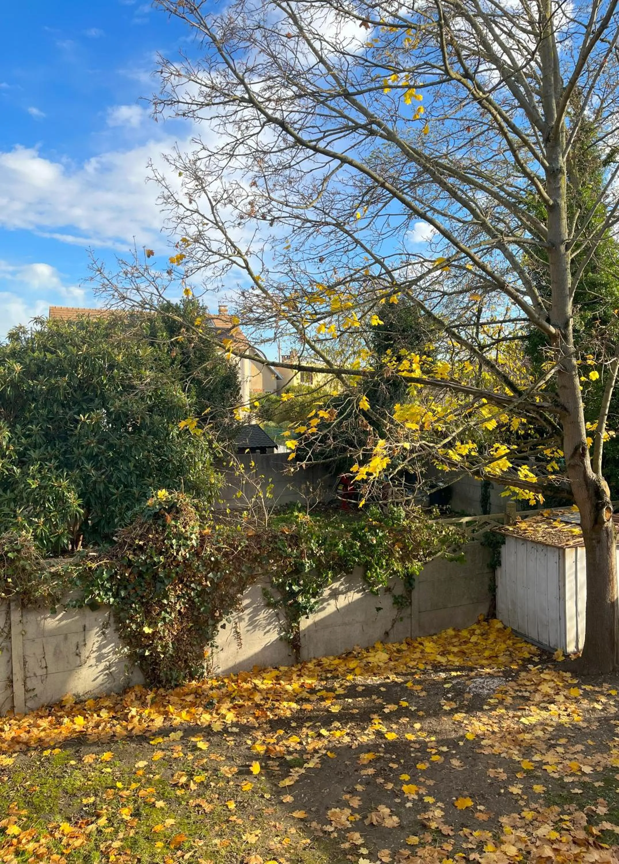 Garden in Kyriad Argenteuil