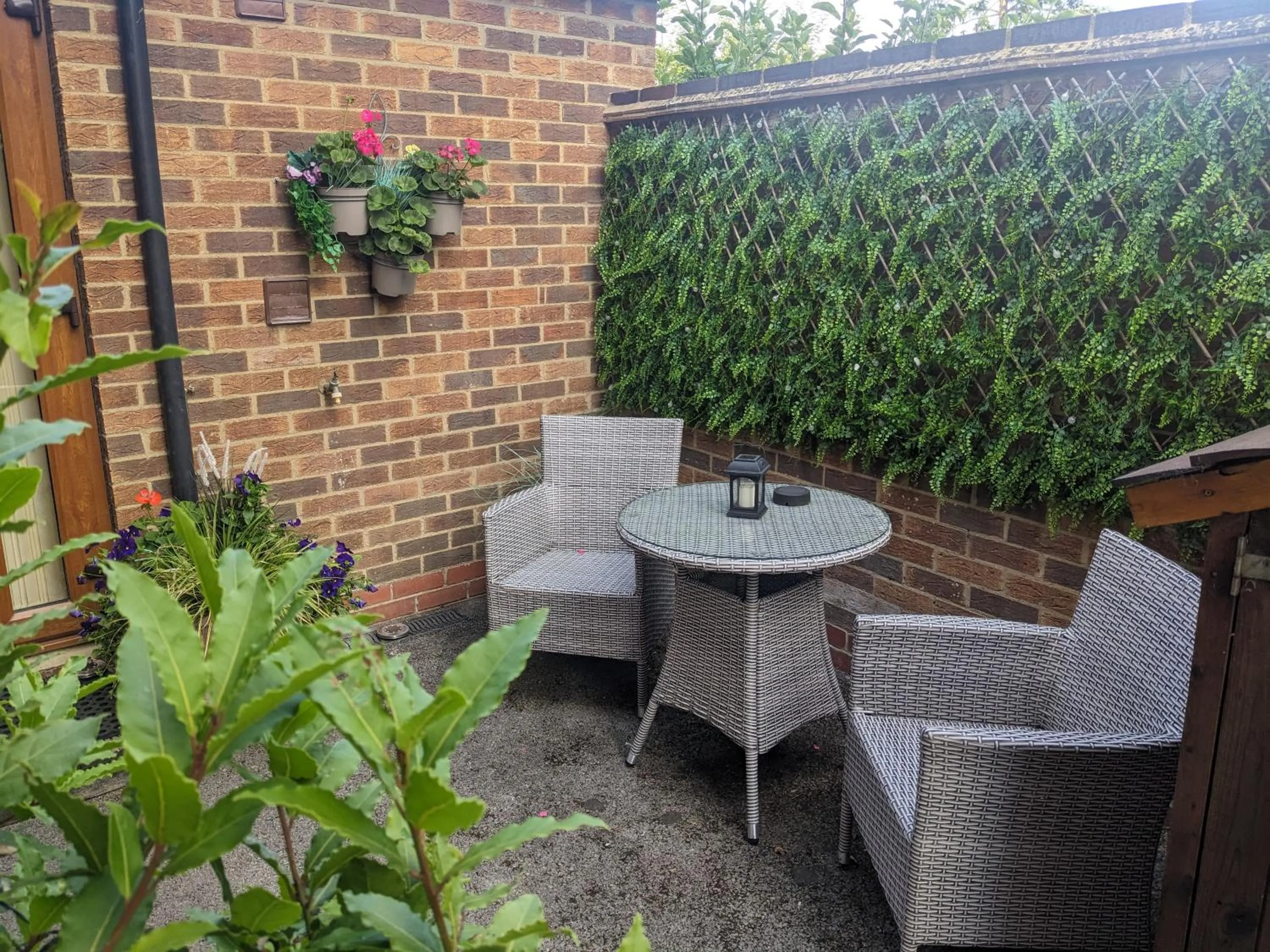 Garden in Sunnyside Annexe