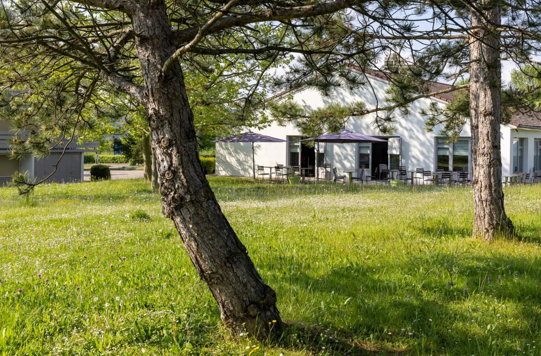 Garden view in The Originals City, Hôtel Mâcon Nord