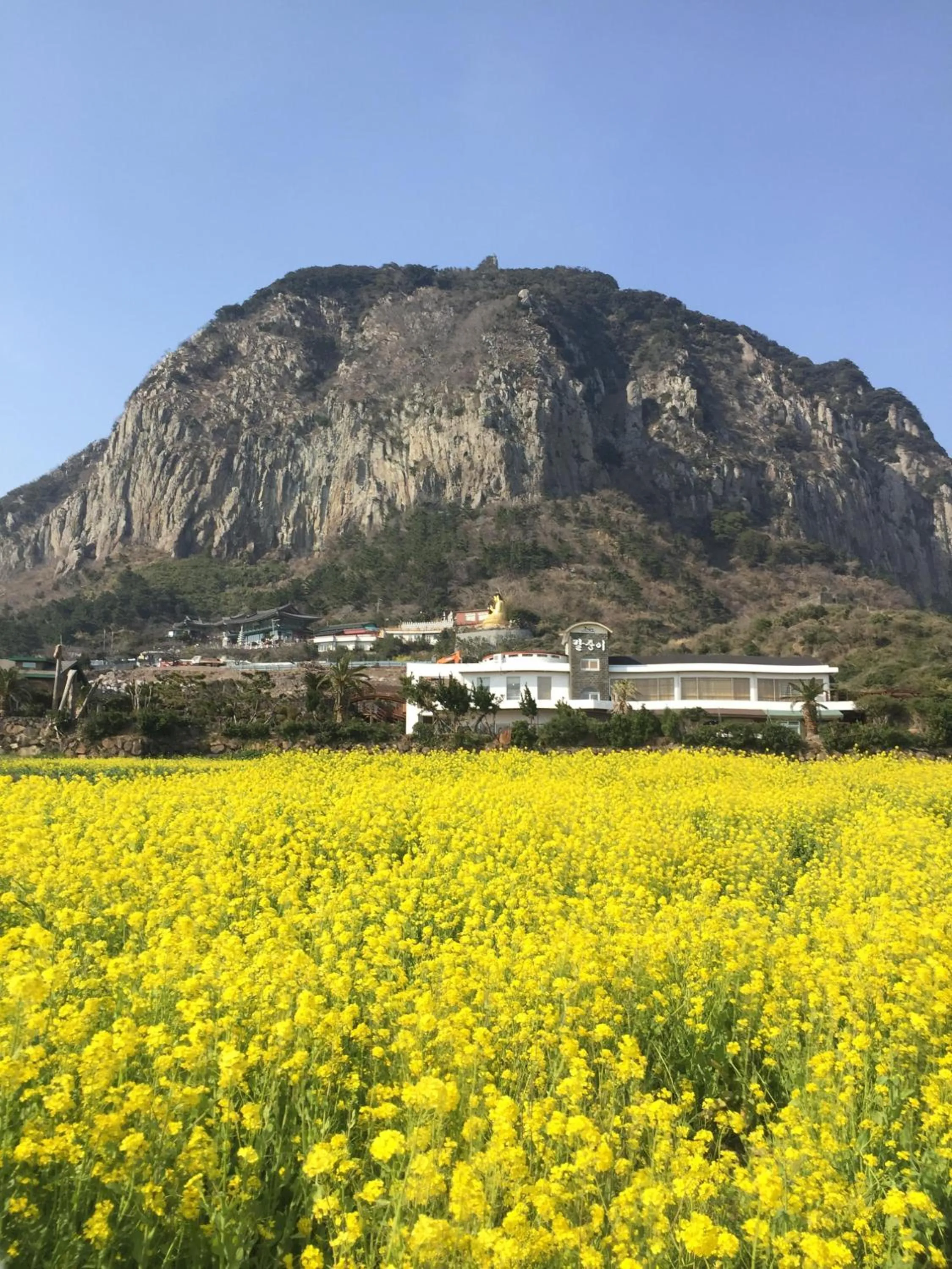 Natural landscape in Jeju Moseulpo Hotel