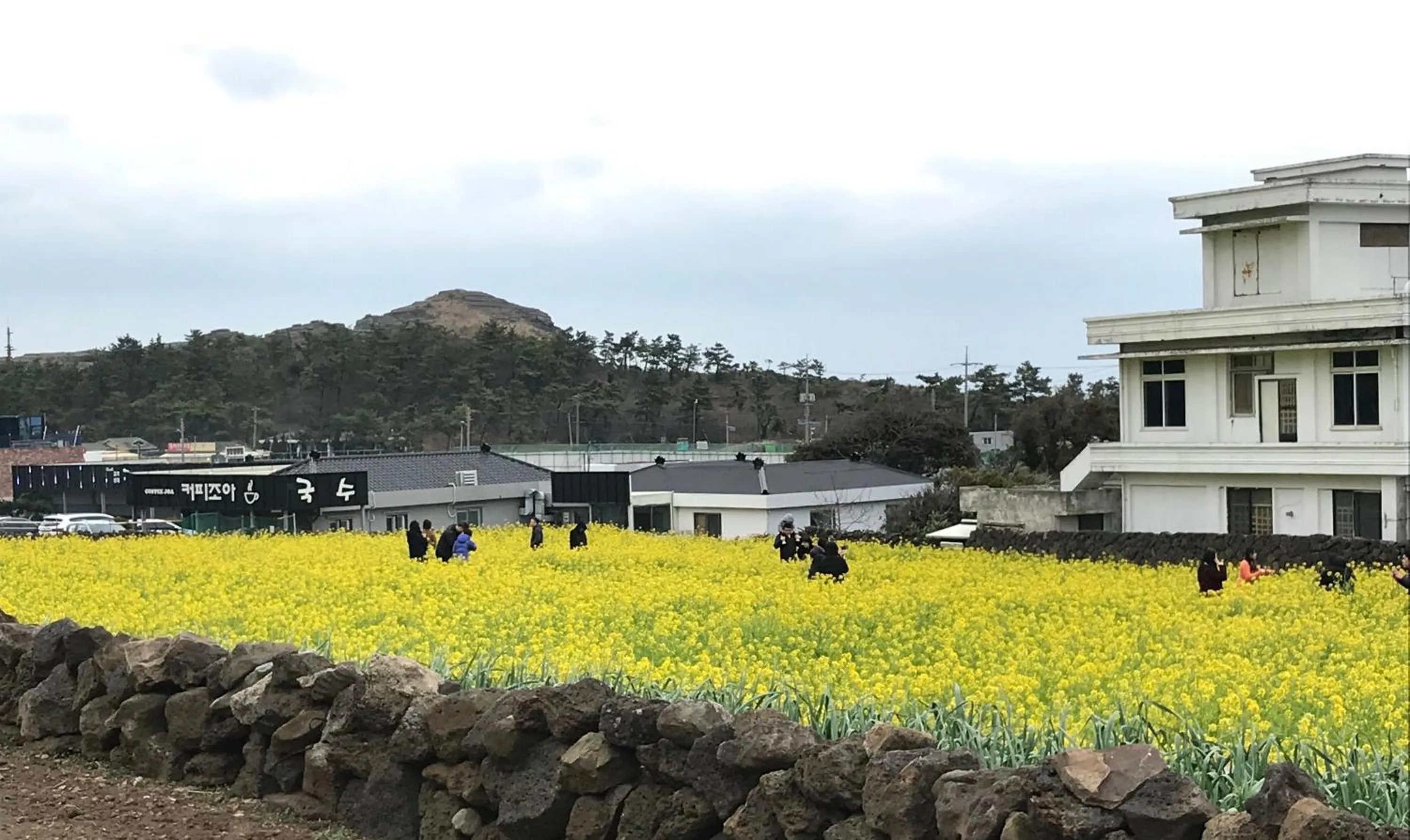 Neighbourhood in Jeju Moseulpo Hotel