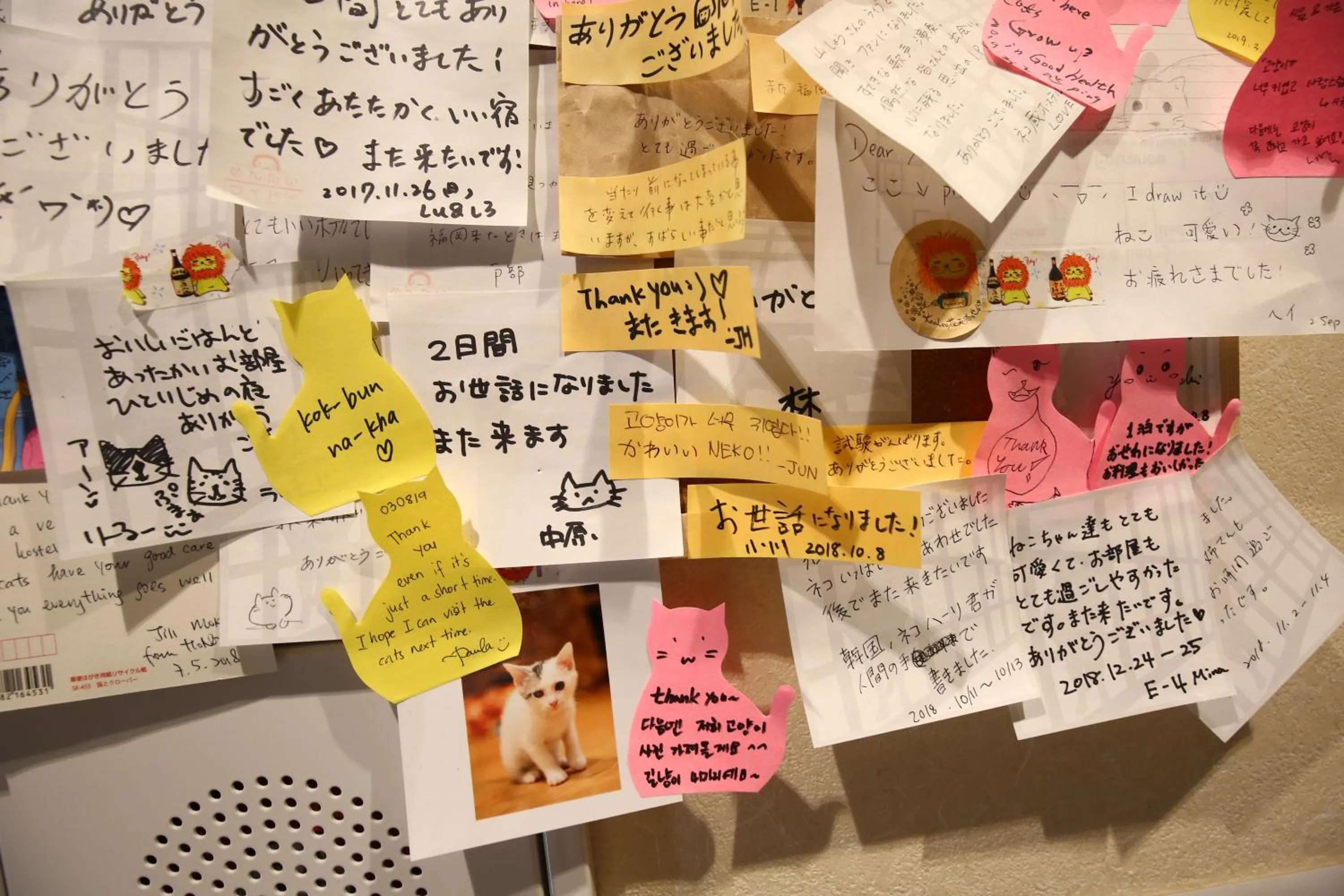 Decorative detail in Nekokura Hostel