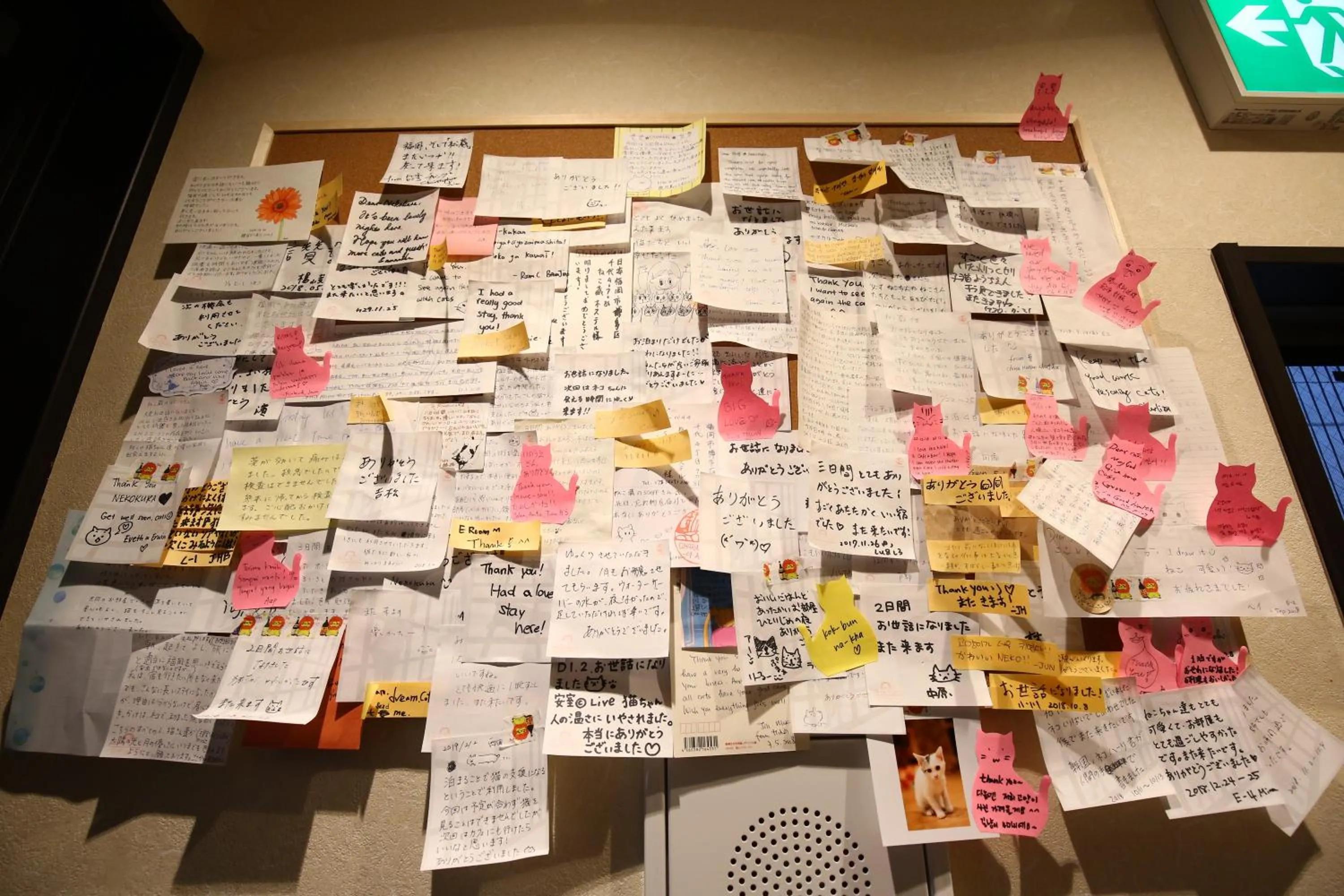 Decorative detail in Nekokura Hostel