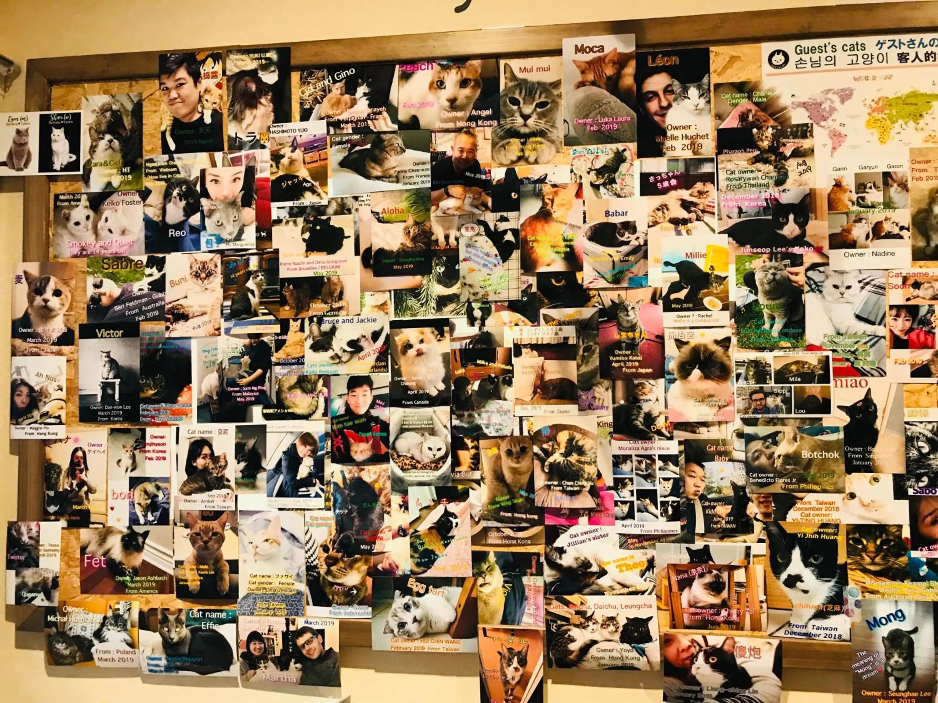 Decorative detail in Nekokura Hostel