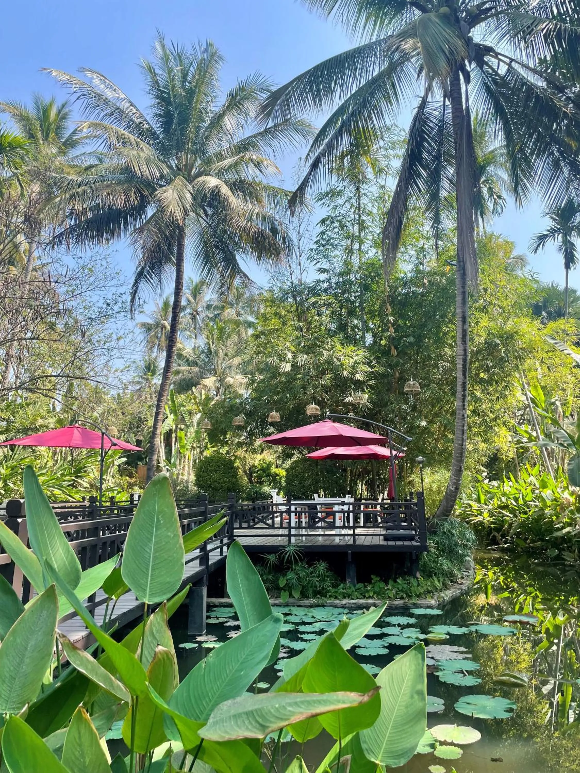 Garden in Parasol Blanc