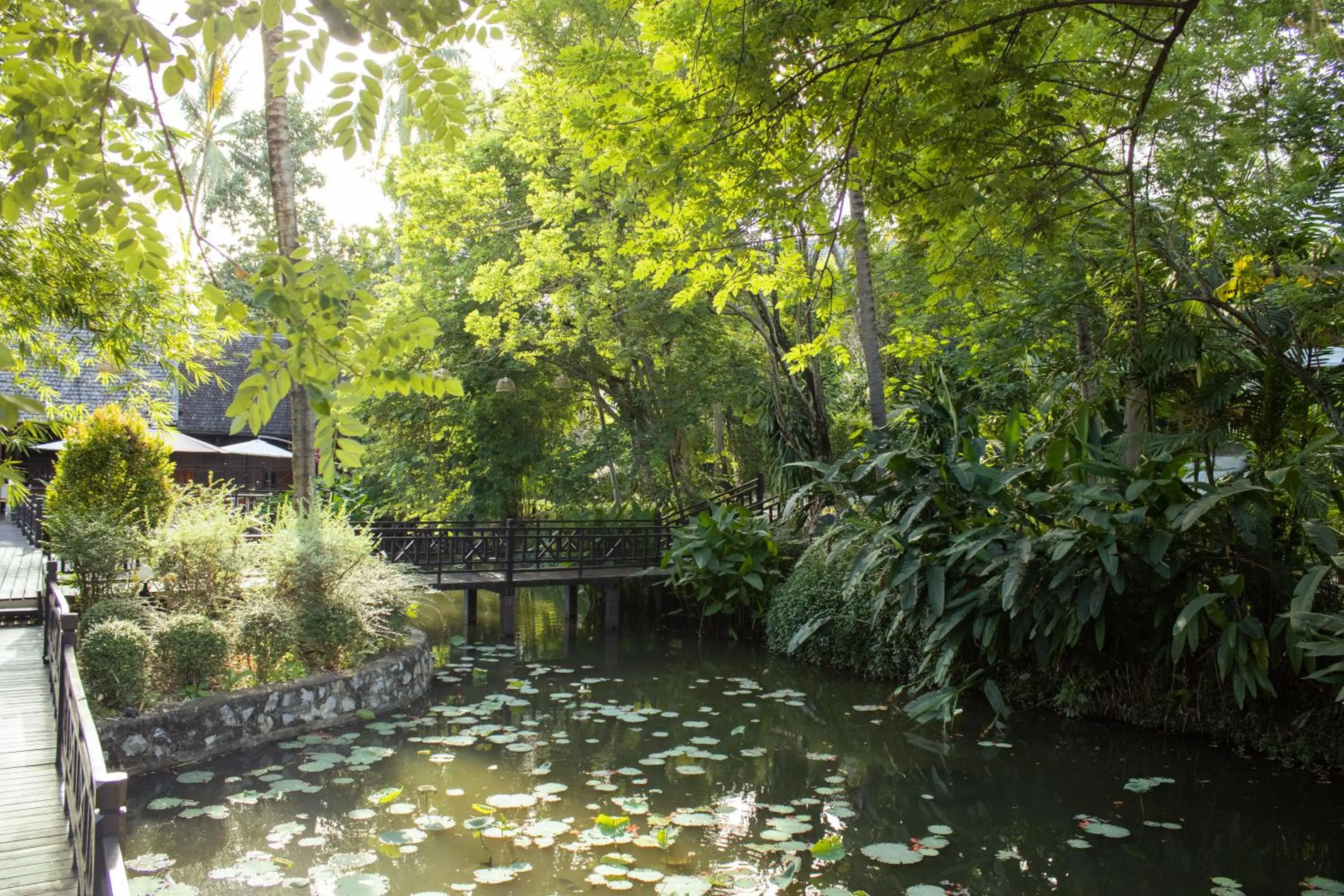 Garden in Parasol Blanc